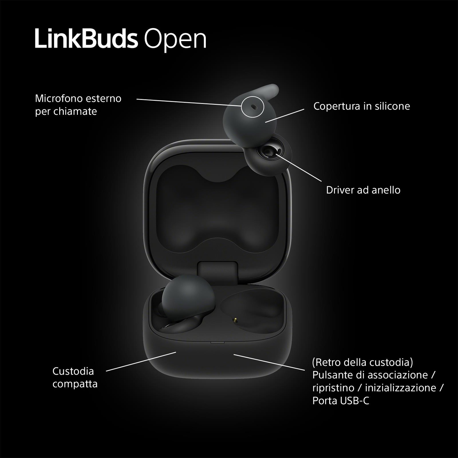 L'immagine mostra LinkBuds aperti. Gli auricolari sono dentro e fuori la custodia. Le etichette indicano le parti.