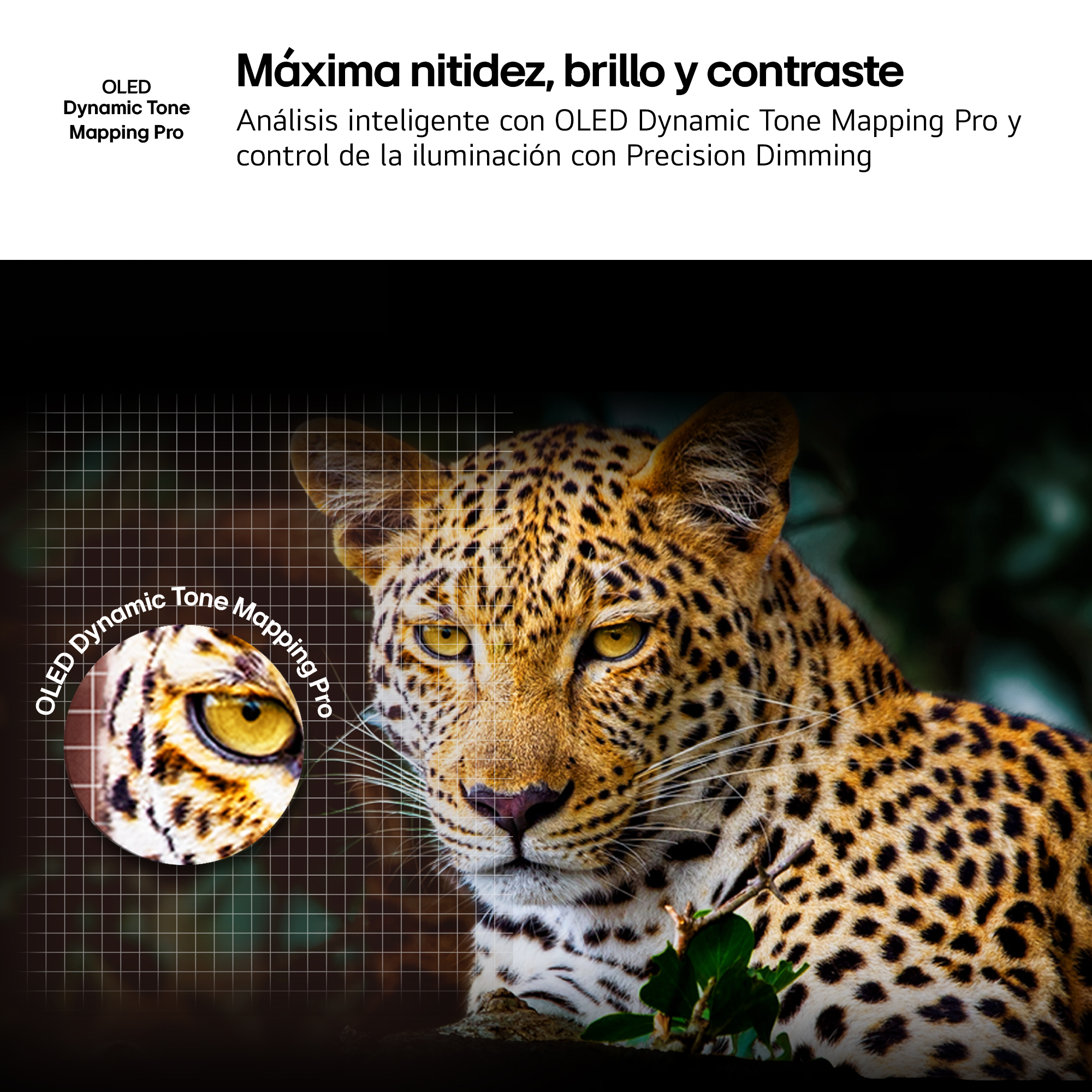 Un leopardo con ojos amarillos y manchas. Primer plano de un ojo. Texto: OLED Dynamic Tone Mapping Pro.