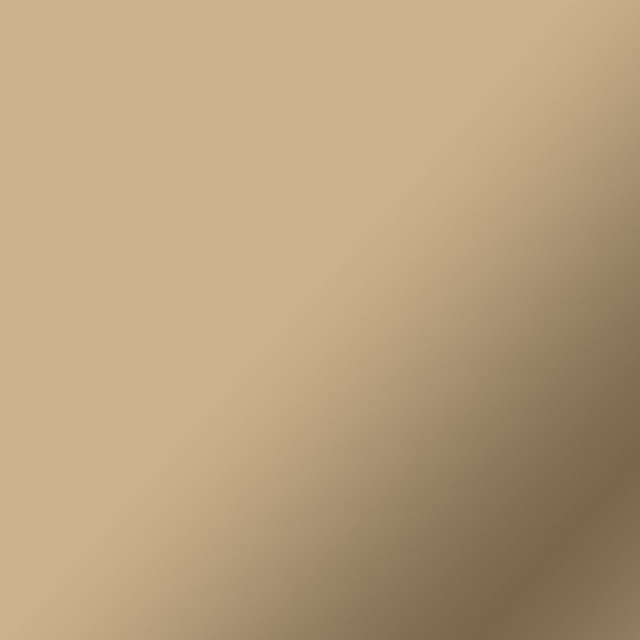 Ein Farbverlaufshintergrund verläuft von hellem Beige links zu dunklerem Beige unten rechts.