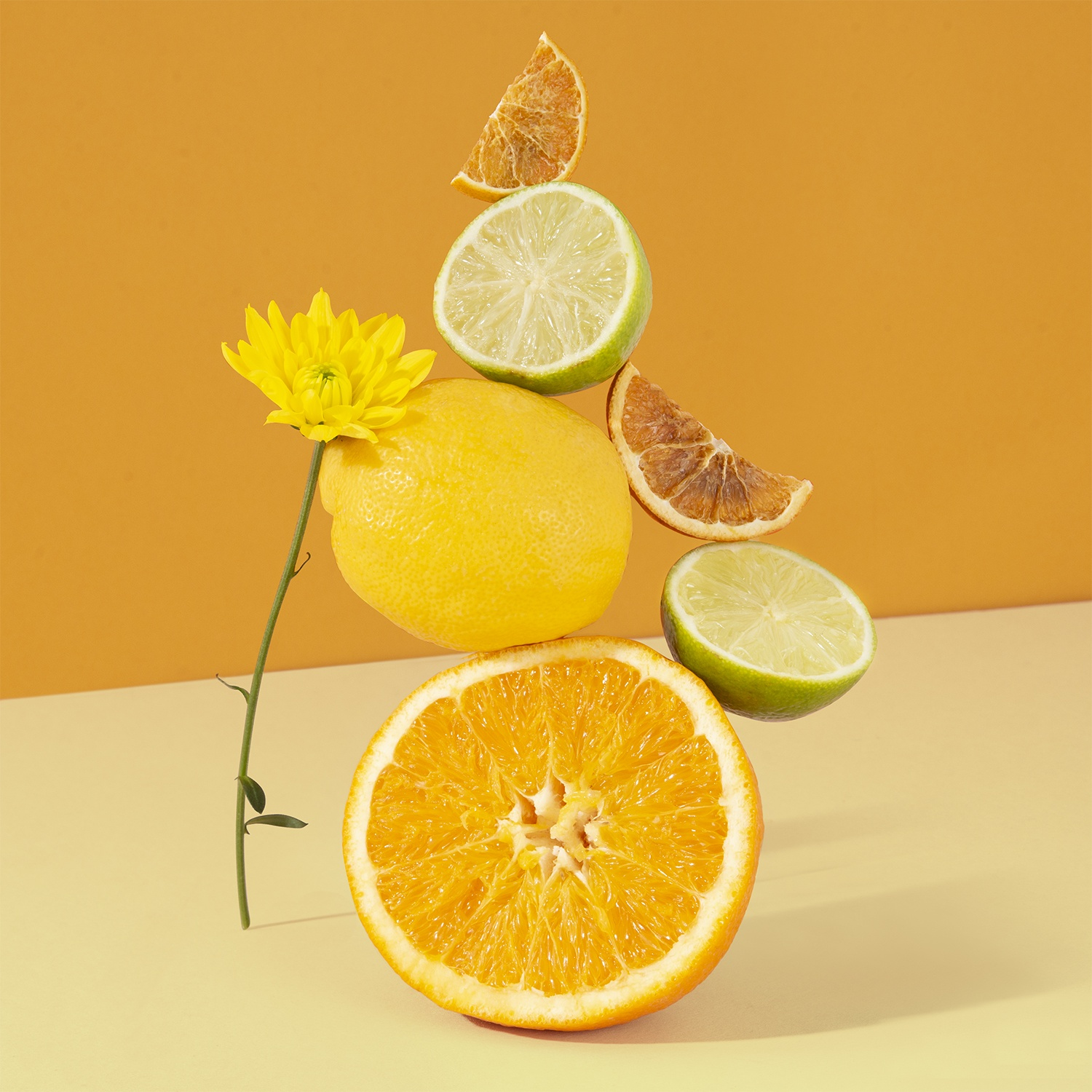 Una composizione equilibrata di agrumi e un fiore giallo su sfondo giallo. Arancia, limone, lime e fette di arancia essiccata.