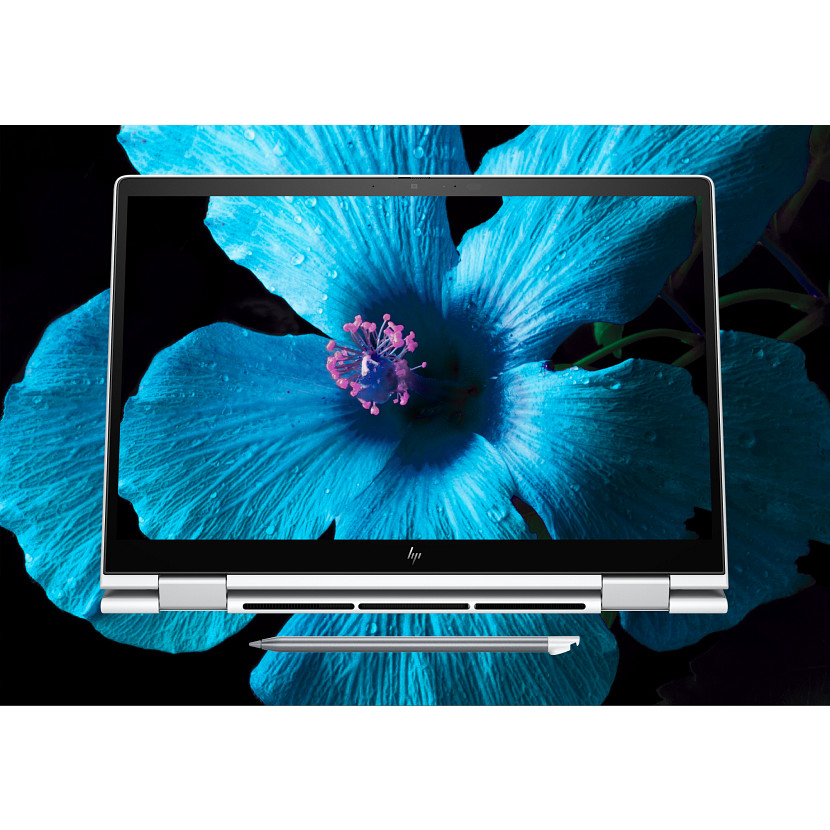 Laptop zeigt blaue Blume. Ein Stift liegt unter dem Laptop. Der Hintergrund ist dunkel mit zusätzlichem Blumenbild.