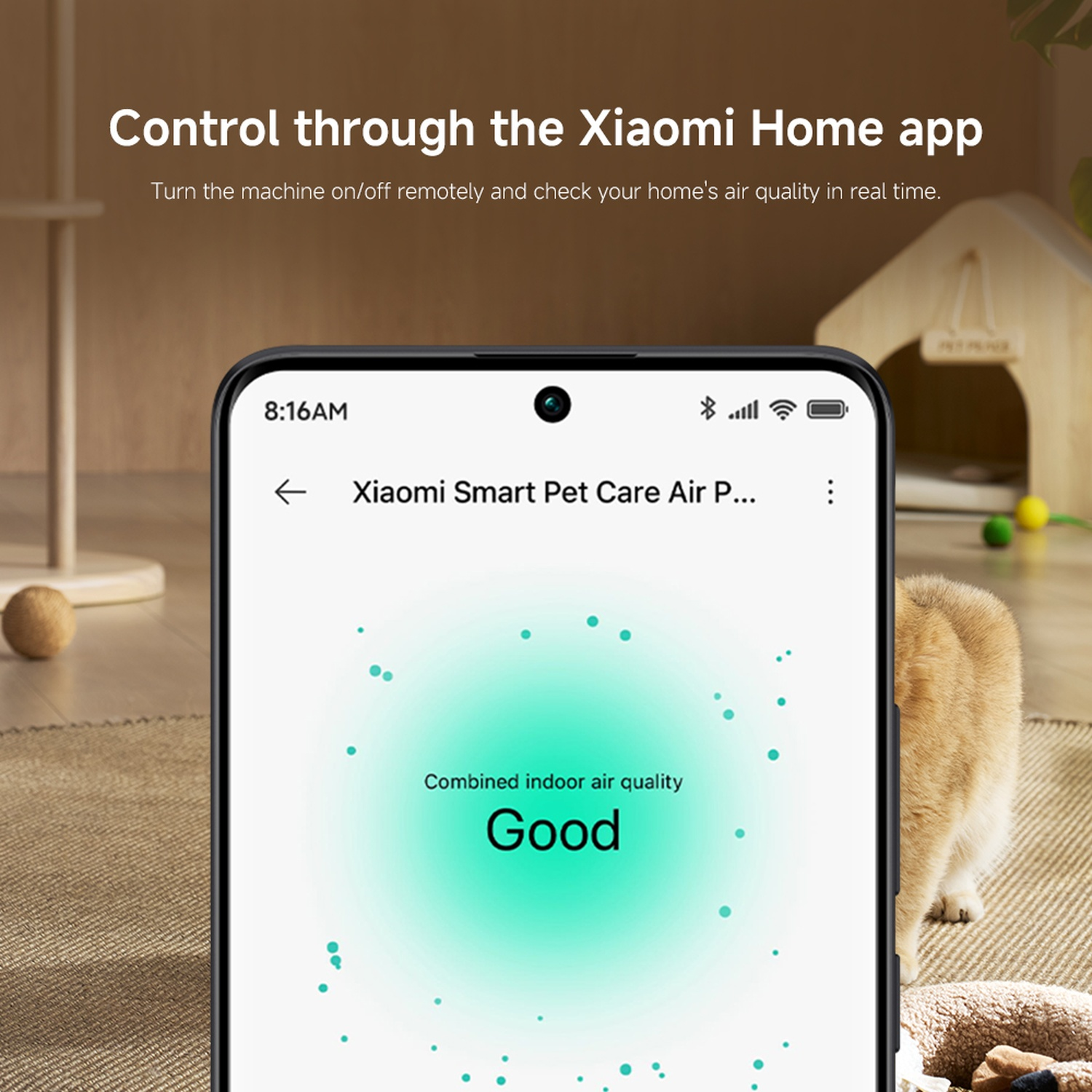 A phone displays the Xiaomi Home app showing good indoor air quality. A cat, a cat house, and a wooden ball are in the background.