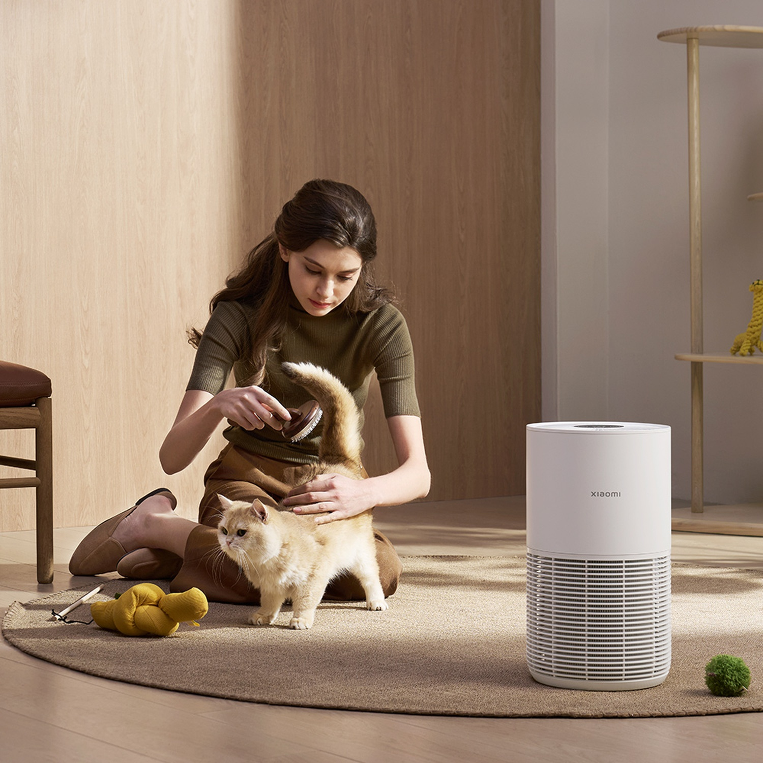 A woman brushes a golden cat on a rug. A white air purifier and a yellow toy are nearby. A wooden shelf is in the background.