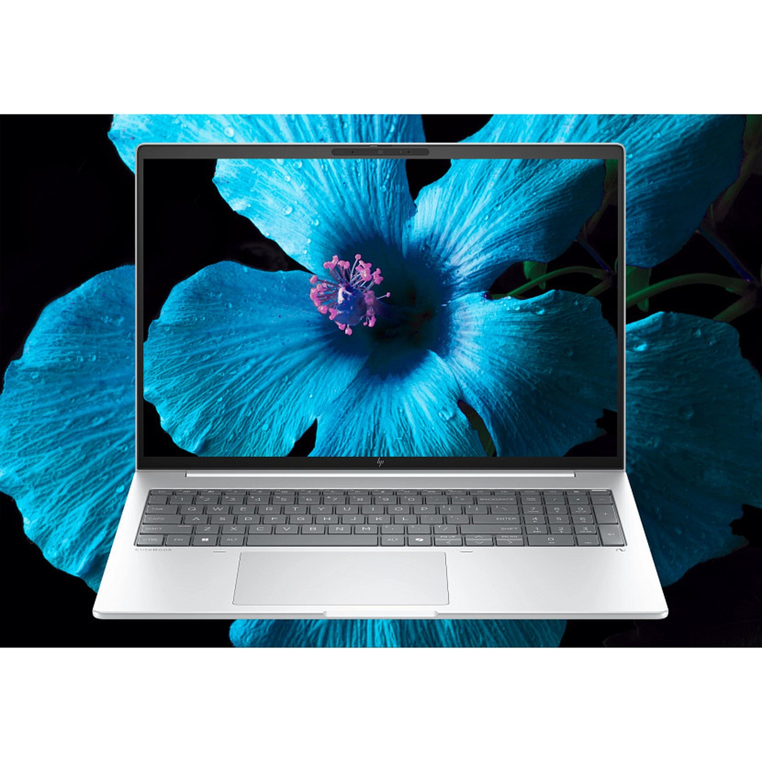 Laptop toont een blauwe bloem met roze centrum. De laptop is zilver, open en op een zwarte achtergrond. De bloem domineert het scherm.