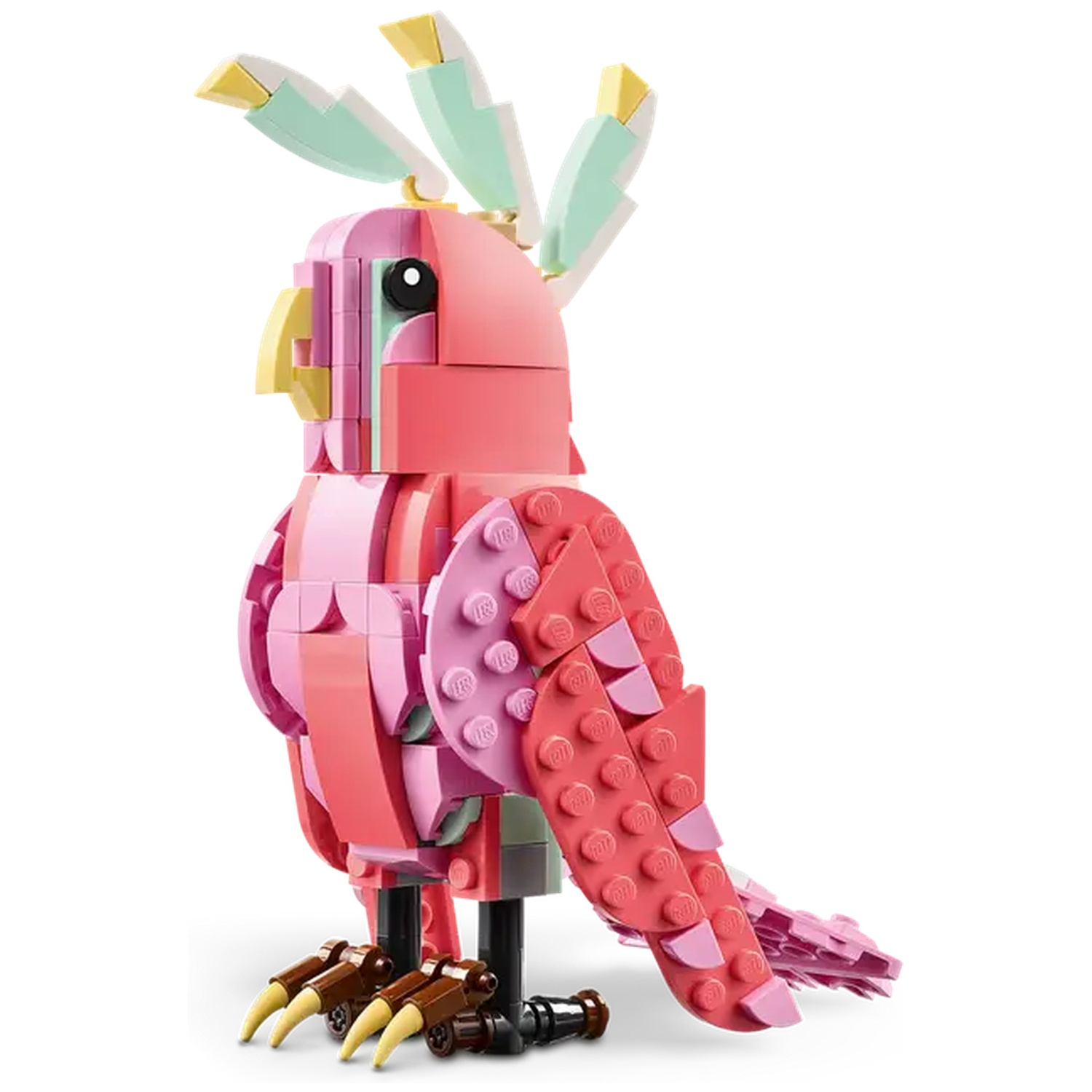 Un perroquet Lego, rose et rouge, avec des accents jaunes. Il se tient sur des pattes noires et marron, sur fond blanc.