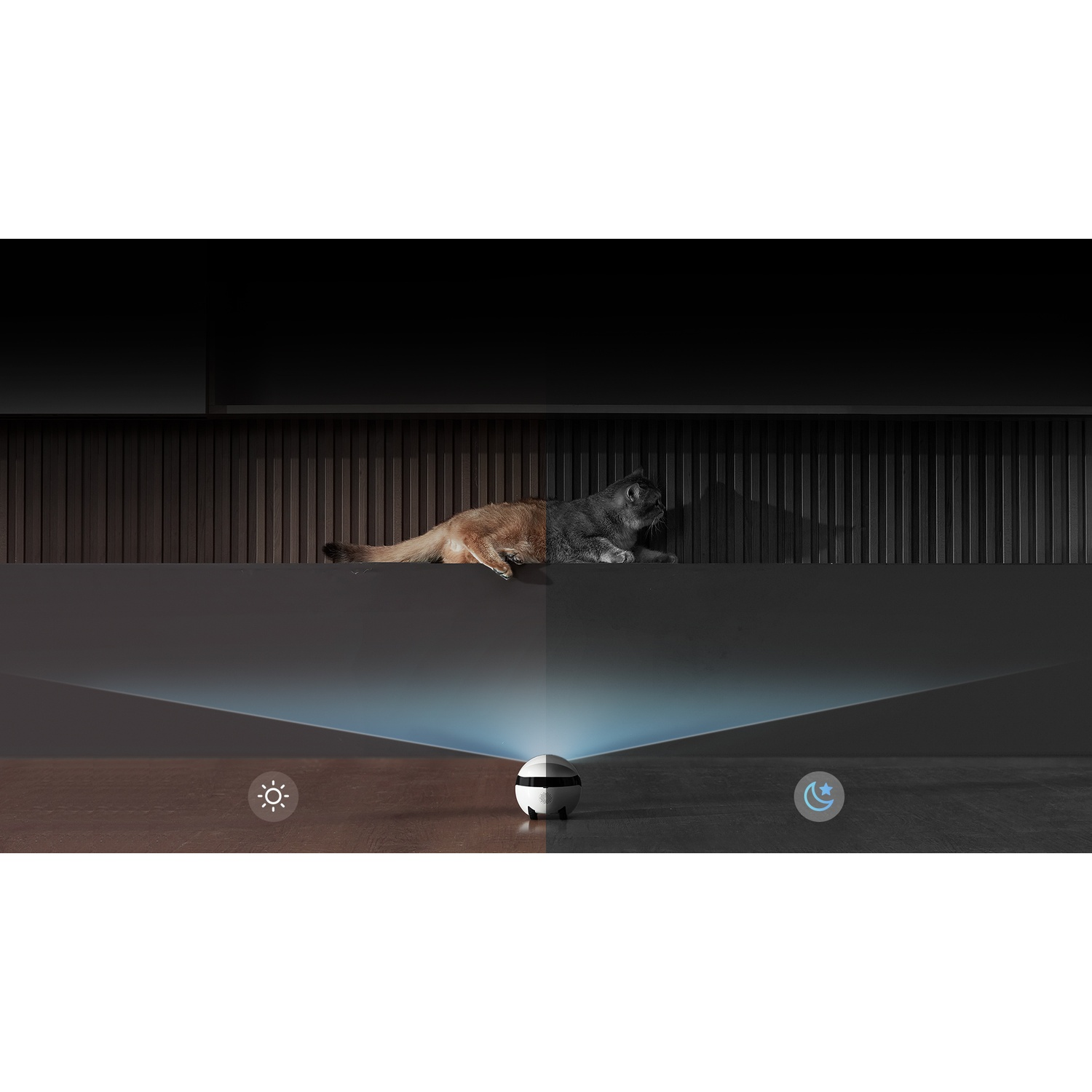 Due gatti giacciono su una superficie scura. Un piccolo dispositivo rotondo emette luce. Sono presenti icone che rappresentano il giorno e la notte.