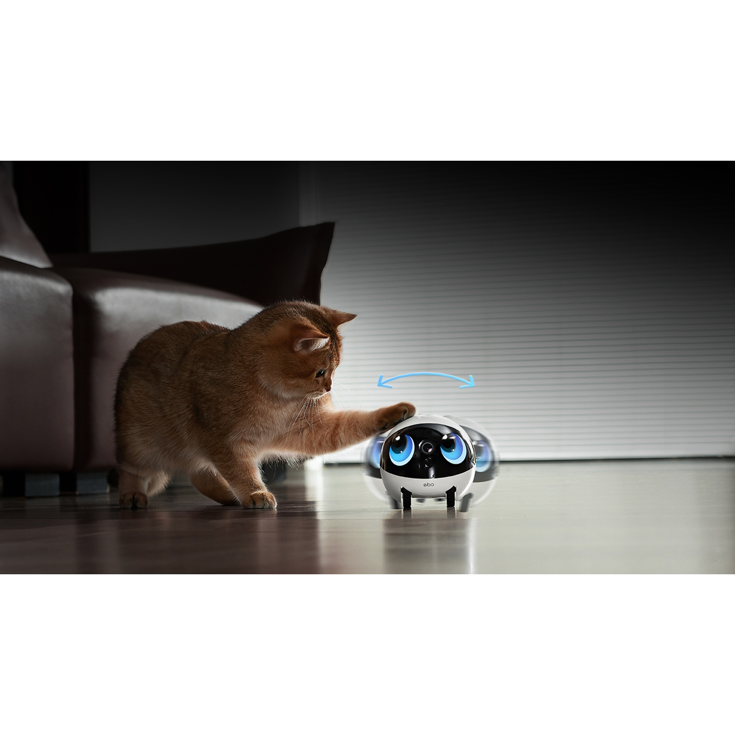 Un gatto dorato si protende verso un piccolo robot bianco con gli occhi blu. Il robot è su un pavimento di legno, e un divano è sullo sfondo.