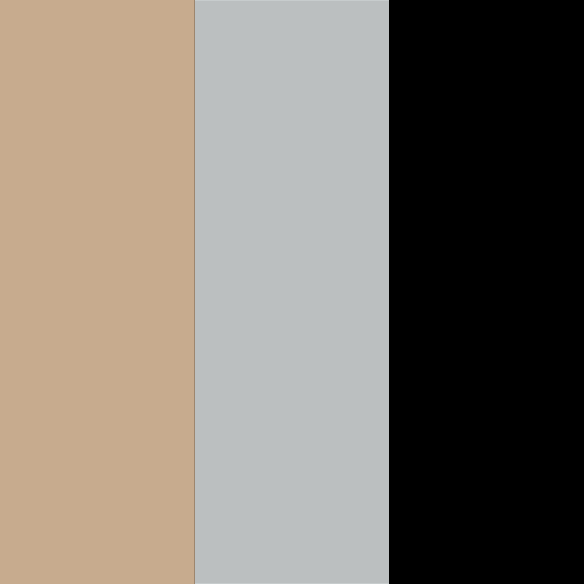 Das Bild zeigt drei vertikale Farbblöcke: Beige, Grau und Schwarz, die jeweils etwa ein Drittel der Breite einnehmen.