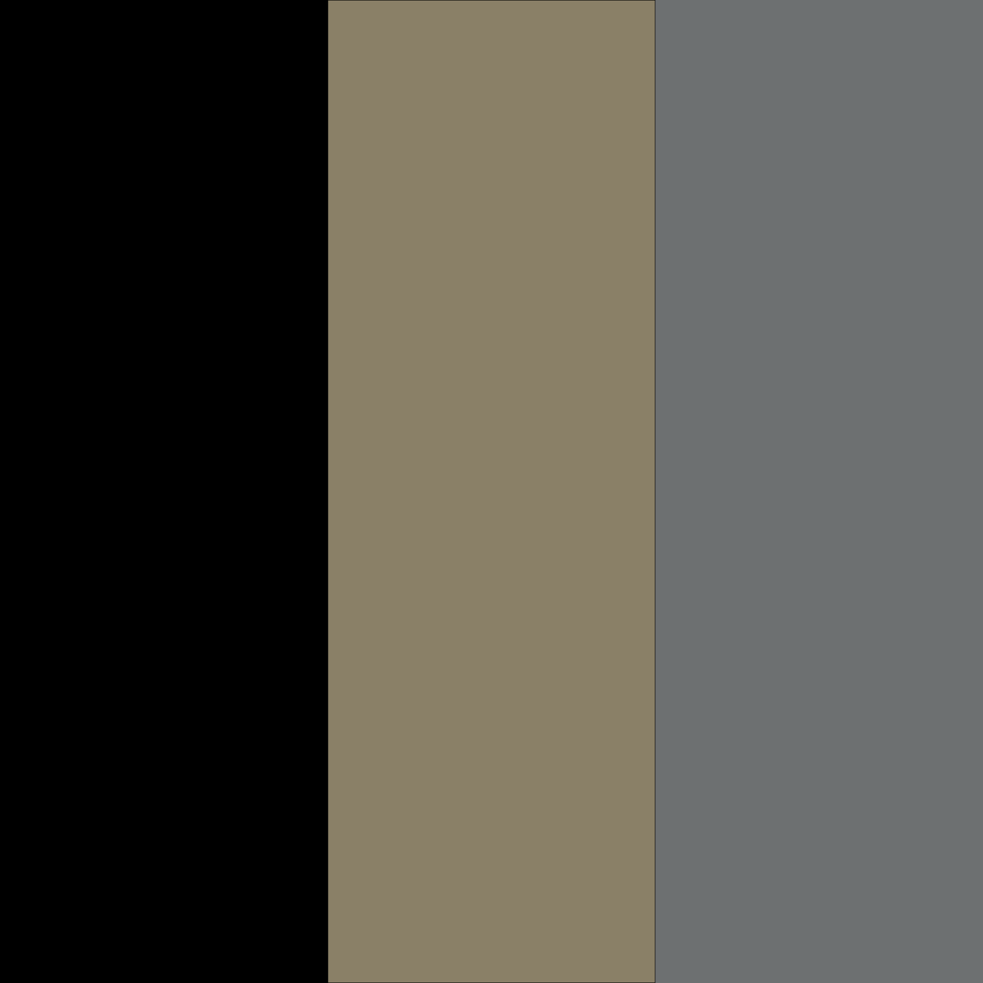 Das Bild zeigt drei vertikale Balken: schwarz, beige und grau. Sie stehen nebeneinander und füllen den Rahmen aus.