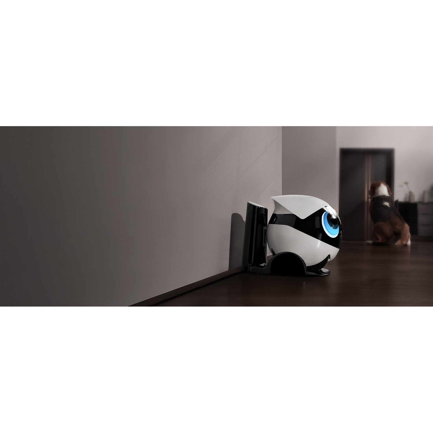 Un robot aspirapolvere bianco e nero è vicino a un muro. Un cane è sullo sfondo. Il pavimento è in legno scuro.