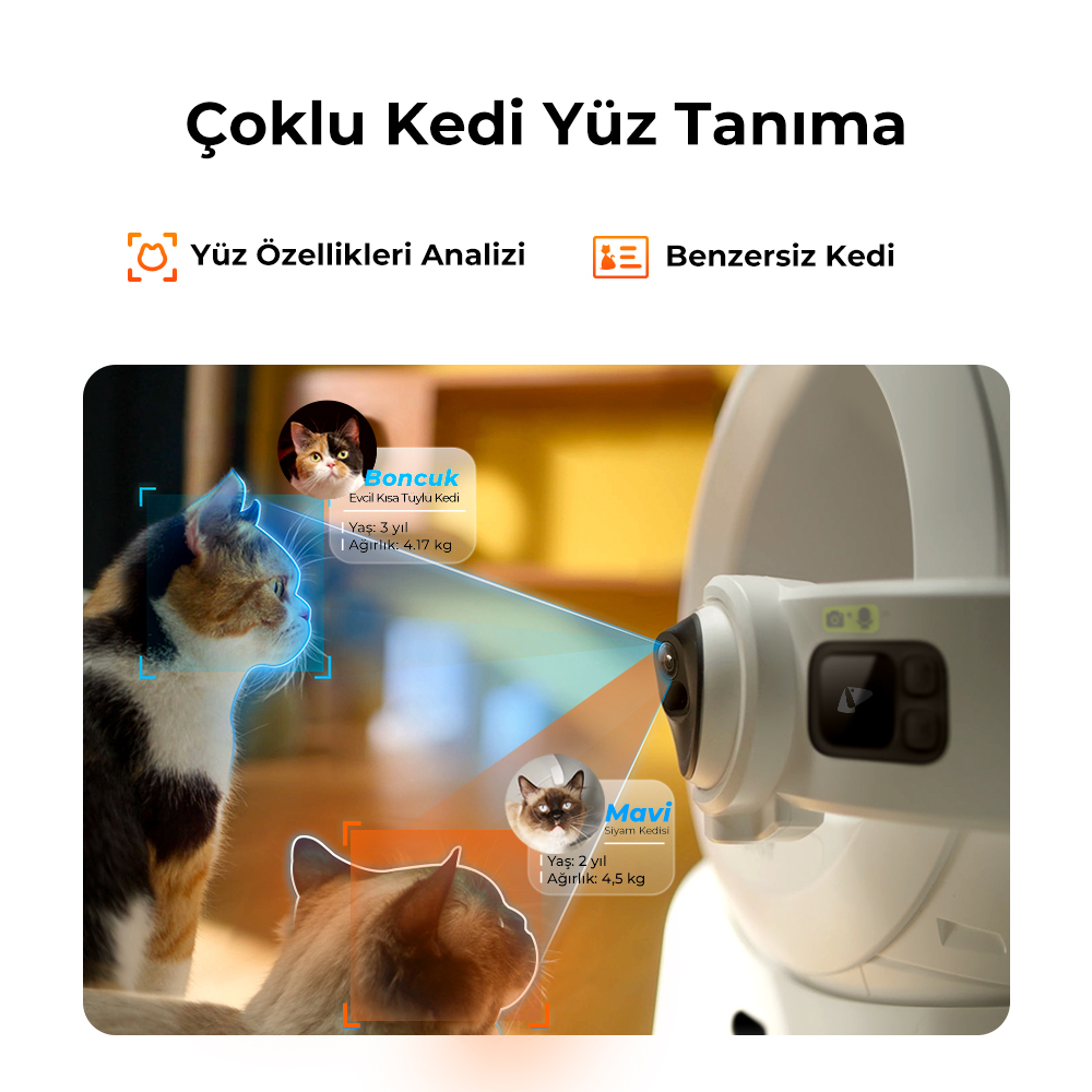 Görüntü, kedi yüz tanımayı gösteriyor. Üç kedi tanımlanır. Bir kedi Boncuk, diğeri Mavi olarak adlandırılır. Arka planda beyaz bir cihaz var.