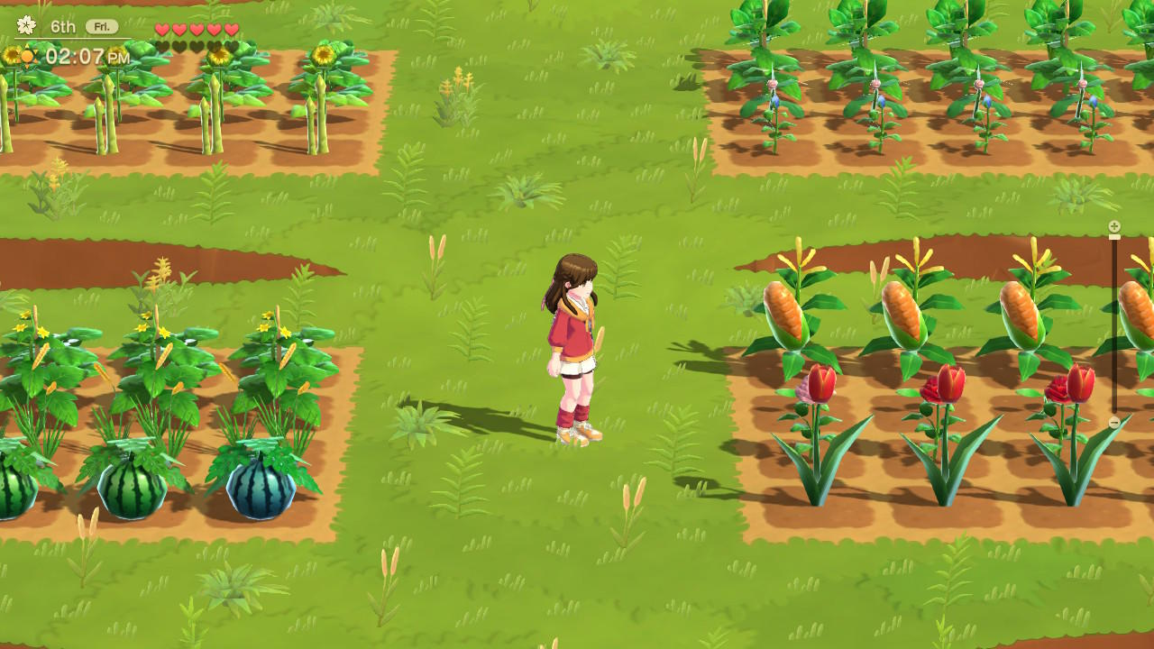 Eine Person steht auf einem Bauernhof. Verschiedene Feldfrüchte wie Mais, Wassermelone und Sonnenblumen sind sichtbar, umgeben von grünem Gras.