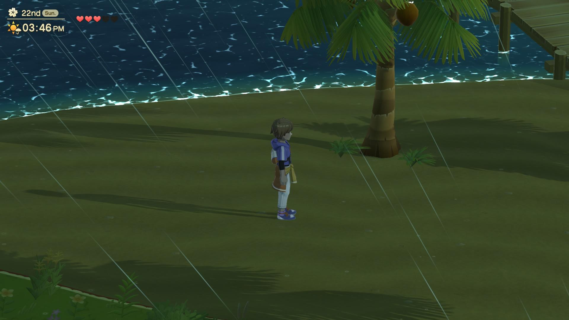 Eine Person steht an einem Strand mit einer Palme. Regen fällt. Das Meer ist im Hintergrund.