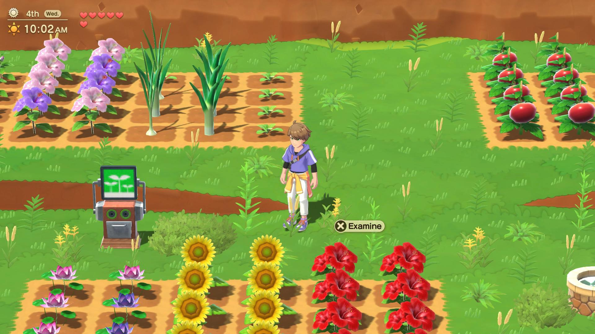 Eine Spielszene zeigt ein Feld mit verschiedenen Pflanzen wie Blumen, Sonnenblumen und Tomaten. Ein Charakter steht in der Mitte und ist bereit, zu untersuchen.