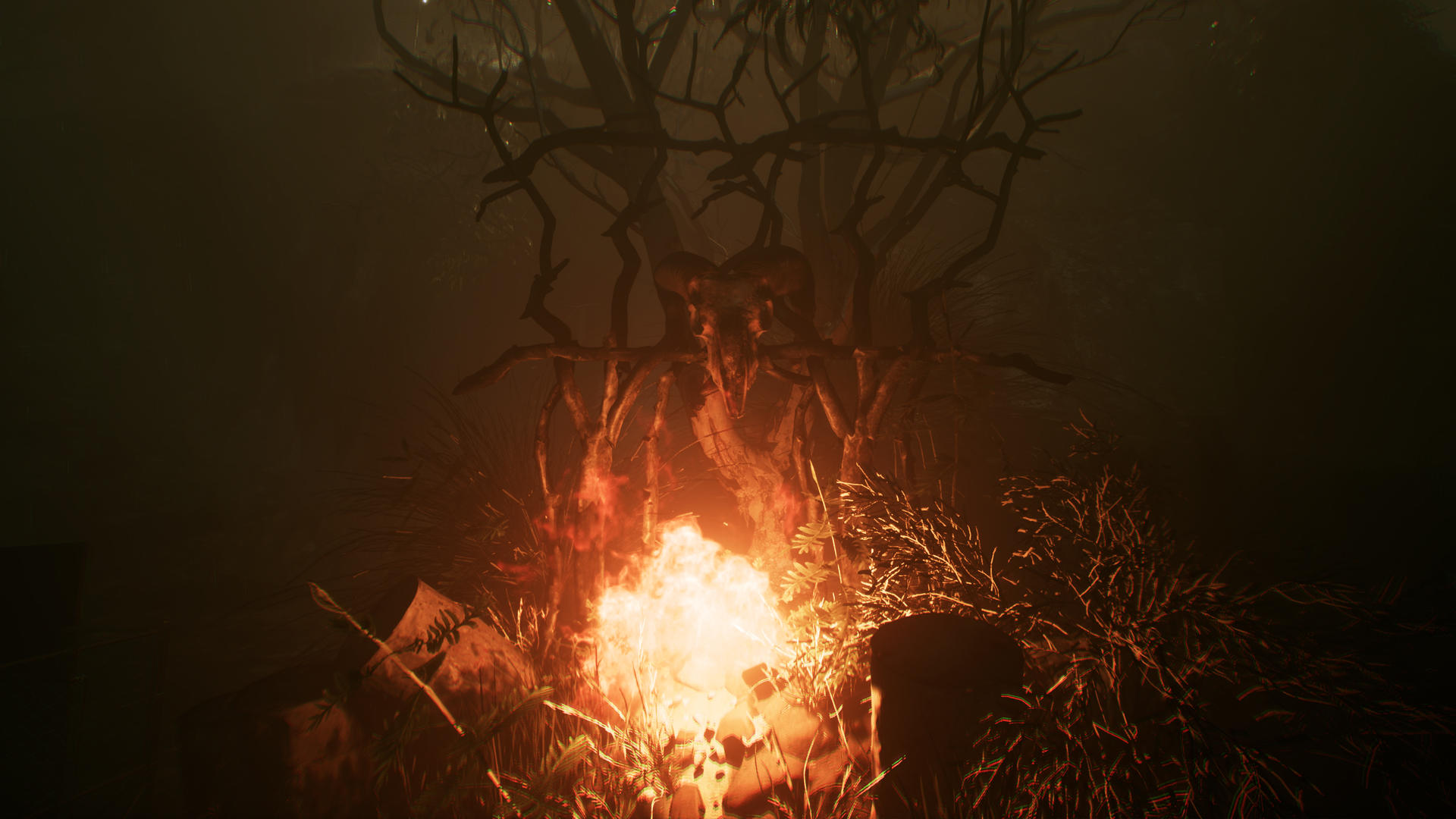 Ein Schädel ist auf einer Holzkonstruktion über einem Feuer angebracht. Die Szene ist dunkel, mit Bäumen und Büschen im Hintergrund.