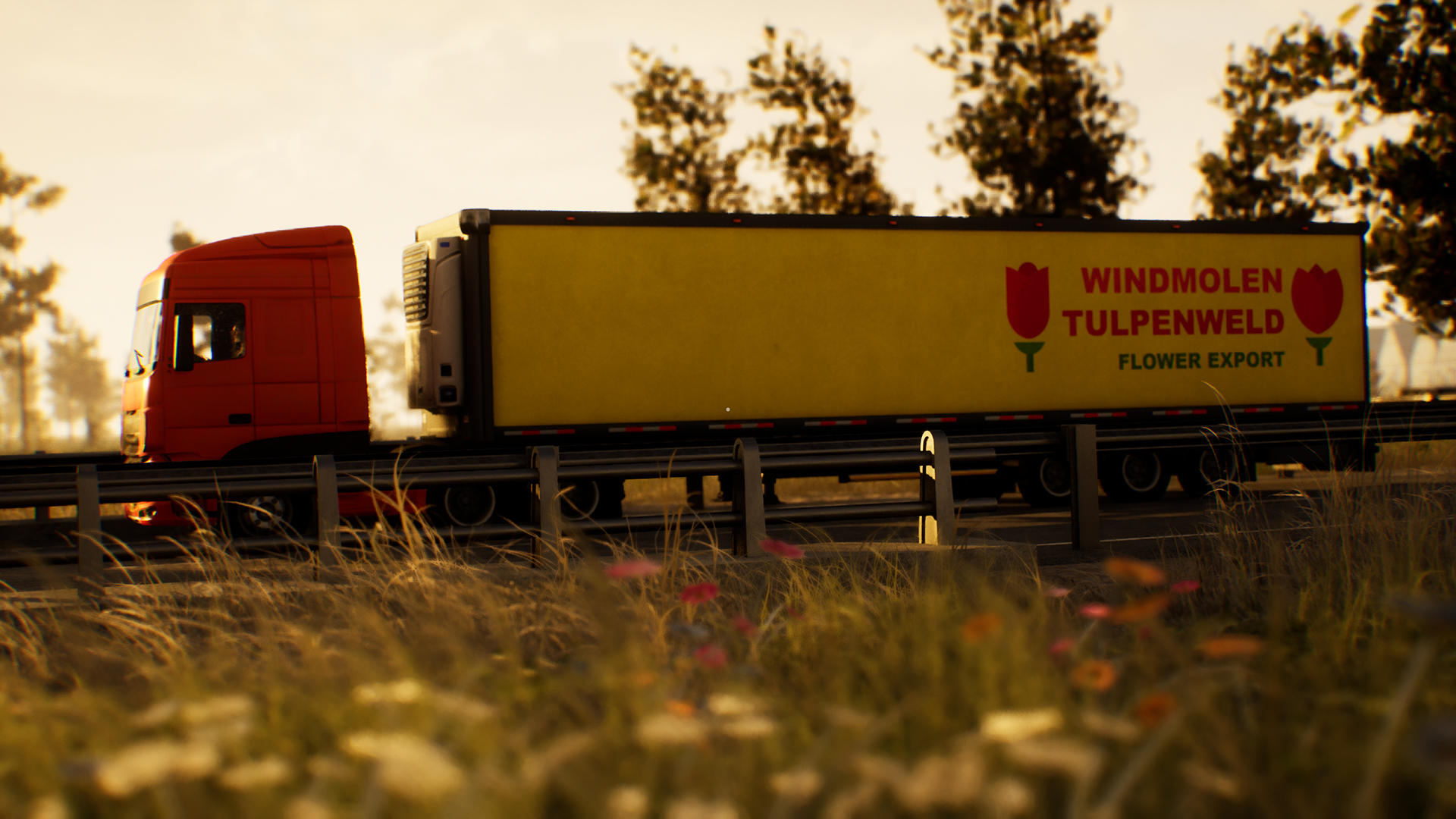 Ein orangefarbener Lastwagen mit einem gelben Anhänger mit der Aufschrift 'Windmolen Tulpenweld Flower Export' auf einer Autobahn. Vordergrund: Gras und Blumen.