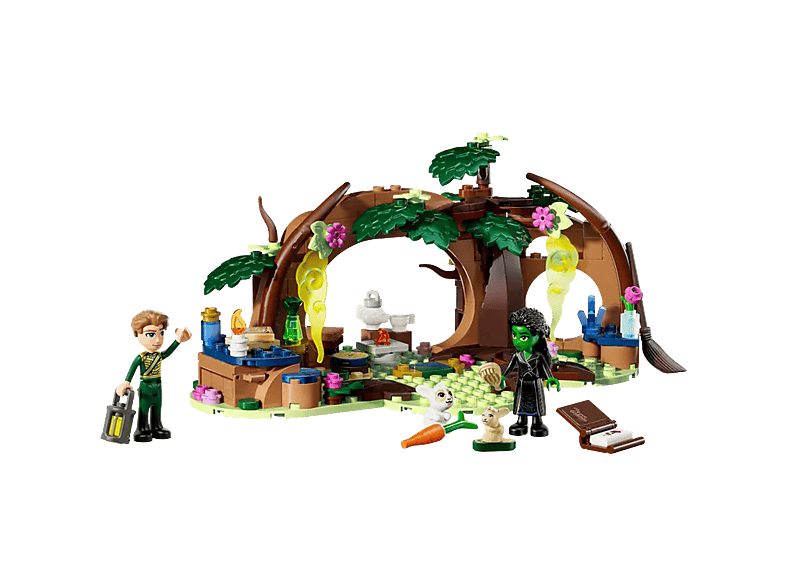 Lego Wicked 75687 Elphaba's Schuilhut Bouwstenen