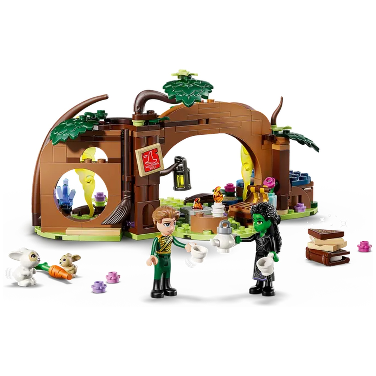 Ensemble Lego avec deux figurines, une sorcière verte et un garçon, et une structure marron. Il y a aussi deux lapins et des livres.