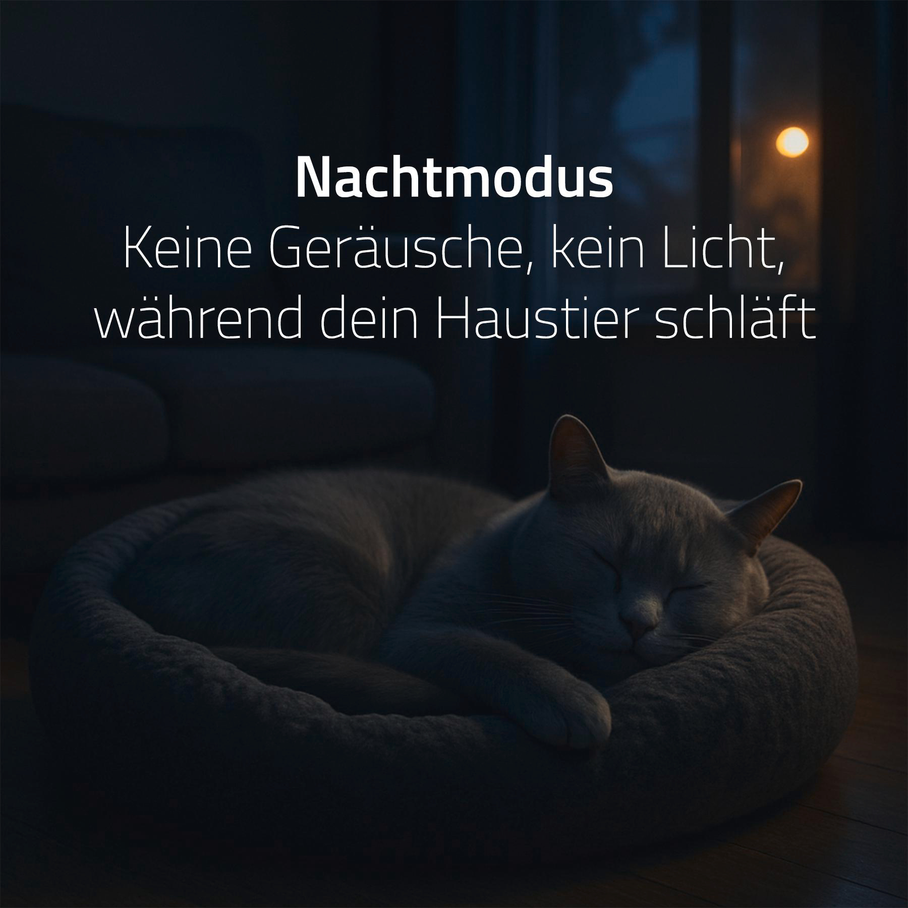 Eine schlafende graue Katze in einem Bett. Text auf Deutsch: Nachtmodus: Kein Ton, kein Licht, während Ihr Haustier schläft.