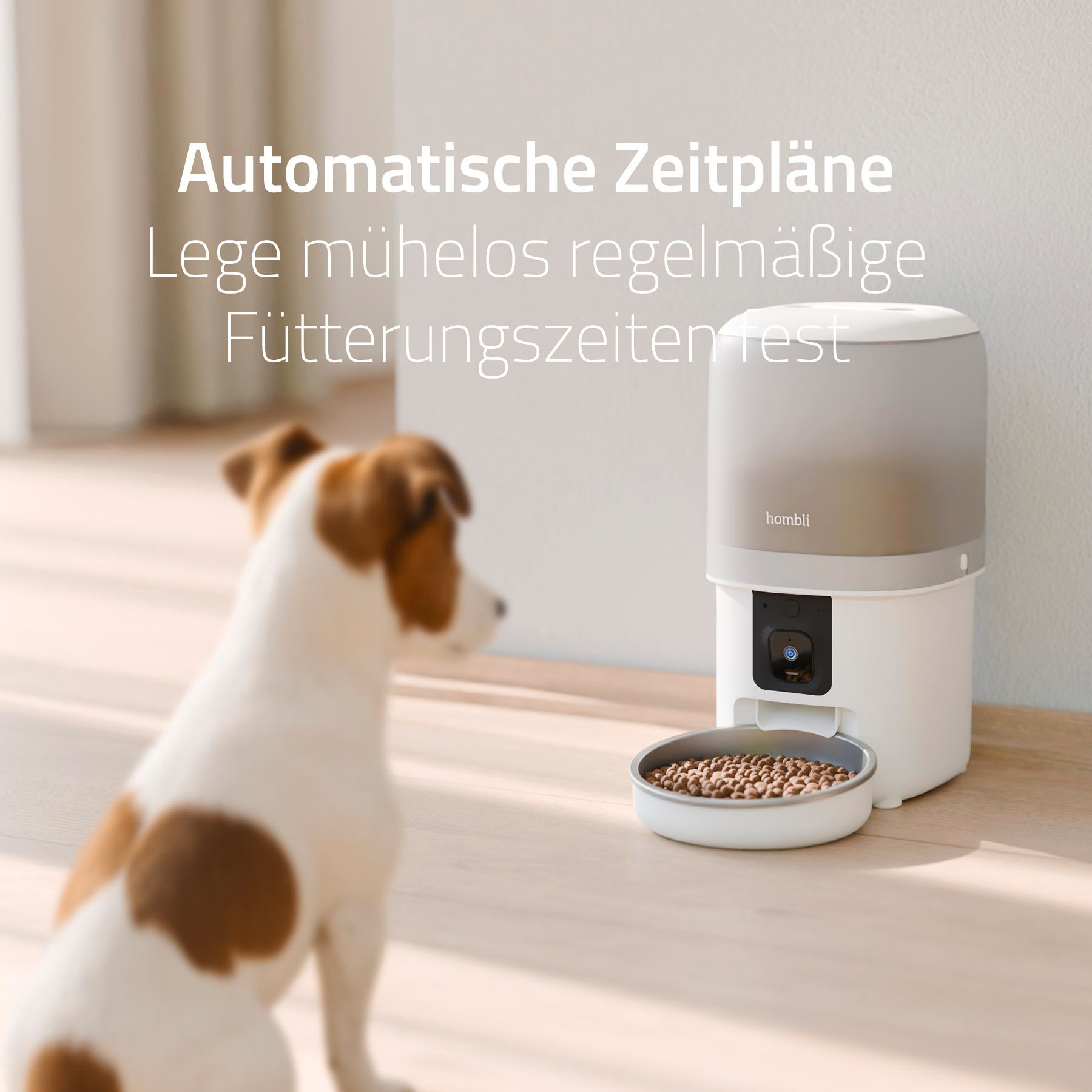 Ein weiß-grauer automatischer Futterautomat mit Hundefutter. Ein Hund mit braunen Flecken im Vordergrund.