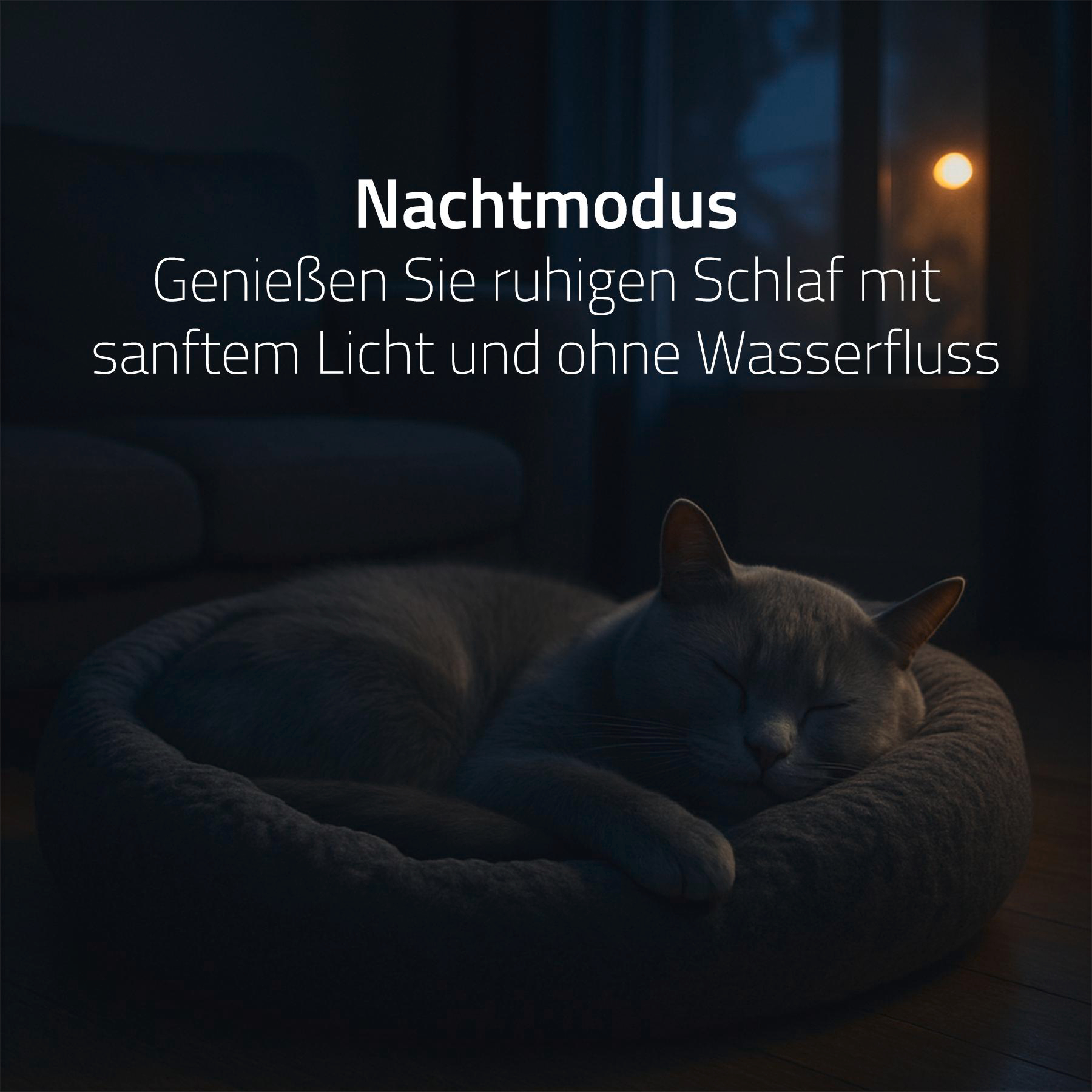 Eine schlafende Katze in einem Bett. Text sagt 'Nachtmodus', 'Genießen Sie ruhigen Schlaf mit sanftem Licht'.