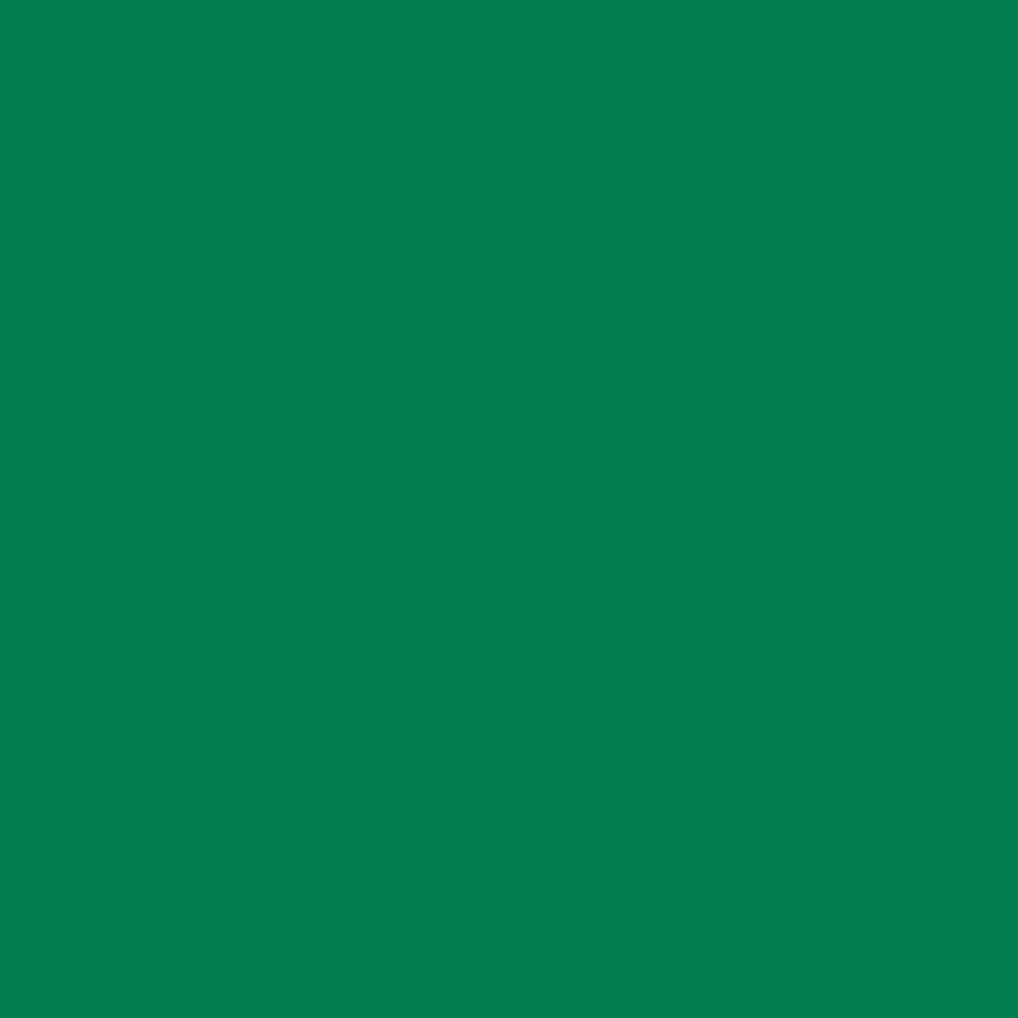 Einfarbiger grüner Hintergrund. Die Farbe ist ein lebendiger Grünton, der den gesamten Rahmen ausfüllt.