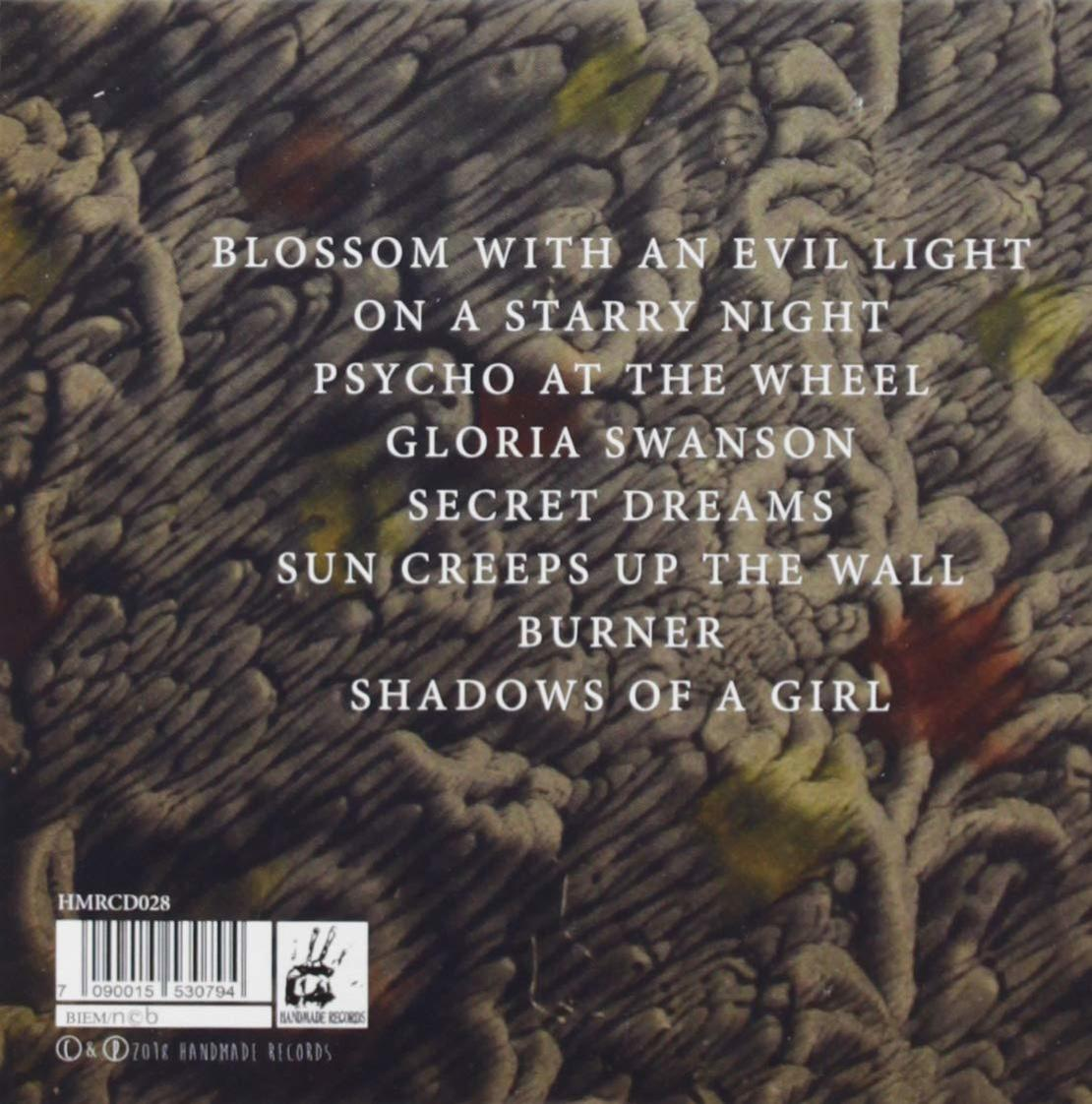 Albumcover mit Text, abstrakter Hintergrund und handschriftliche Titel. Enthält Blossom, Psycho, Secret Dreams und Shadows of a Girl.