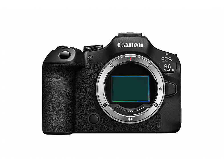 Canon Systemkamera EOS R6 Mark III mit Objektiv RF 24-105mm f4-7.1 IS STM, 32.5 MP, 40 B/s, 3.69 Mio OLED Sucher, 3 Zoll Touch LCD, Schwarz; Spiegellose Systemkamera — Foto 4 von 5