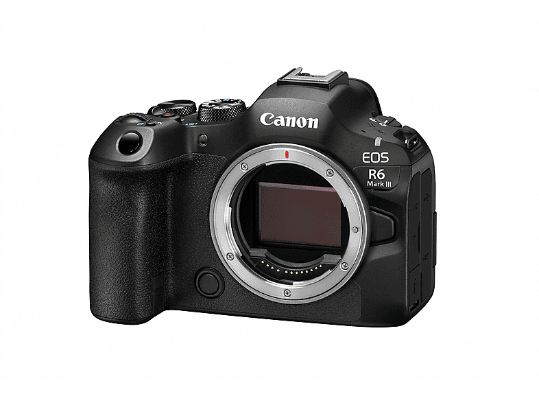 Canon Systemkamera EOS R6 Mark III mit Objektiv RF 24-105mm f4-7.1 IS STM, 32.5 MP, 40 B/s, 3.69 Mio OLED Sucher, 3 Zoll Touch LCD, Schwarz; Spiegellose Systemkamera — Foto 5 von 5