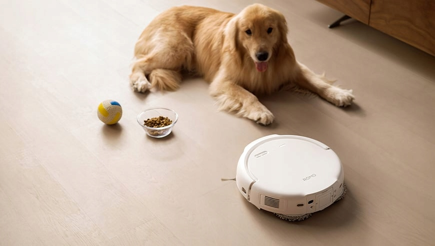 Golden Retriever leży na podłodze. W pobliżu znajduje się odkurzacz automatyczny, miska z jedzeniem i piłka.