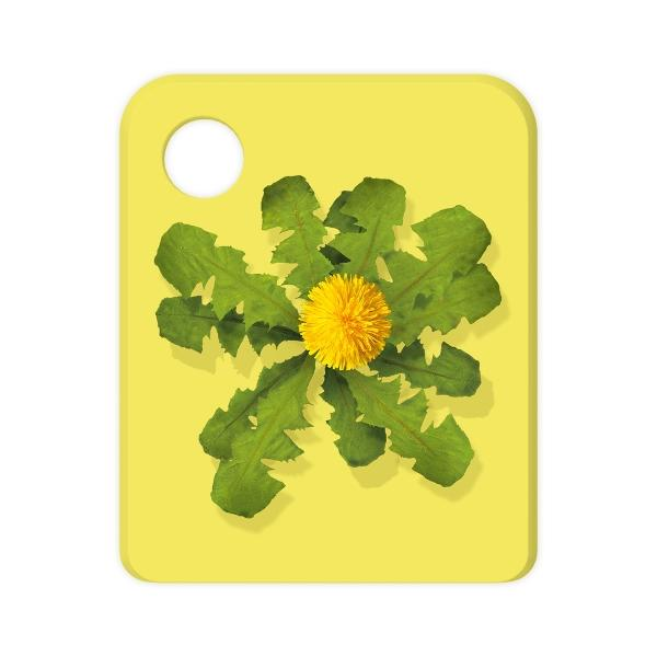 Eine gelbe Löwenzahnblüte, umgeben von grünen Blättern auf gelbem Hintergrund. In der oberen linken Ecke befindet sich ein weißer Kreis.