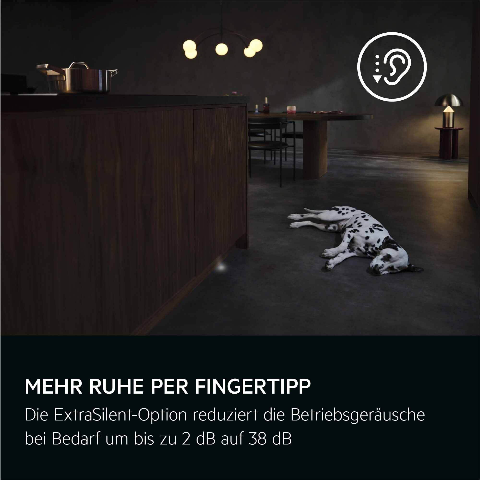 Ein Dalmatiner liegt auf dunklem Boden. Eine Küche mit Holzschränken und einem Esstisch sind im Hintergrund.