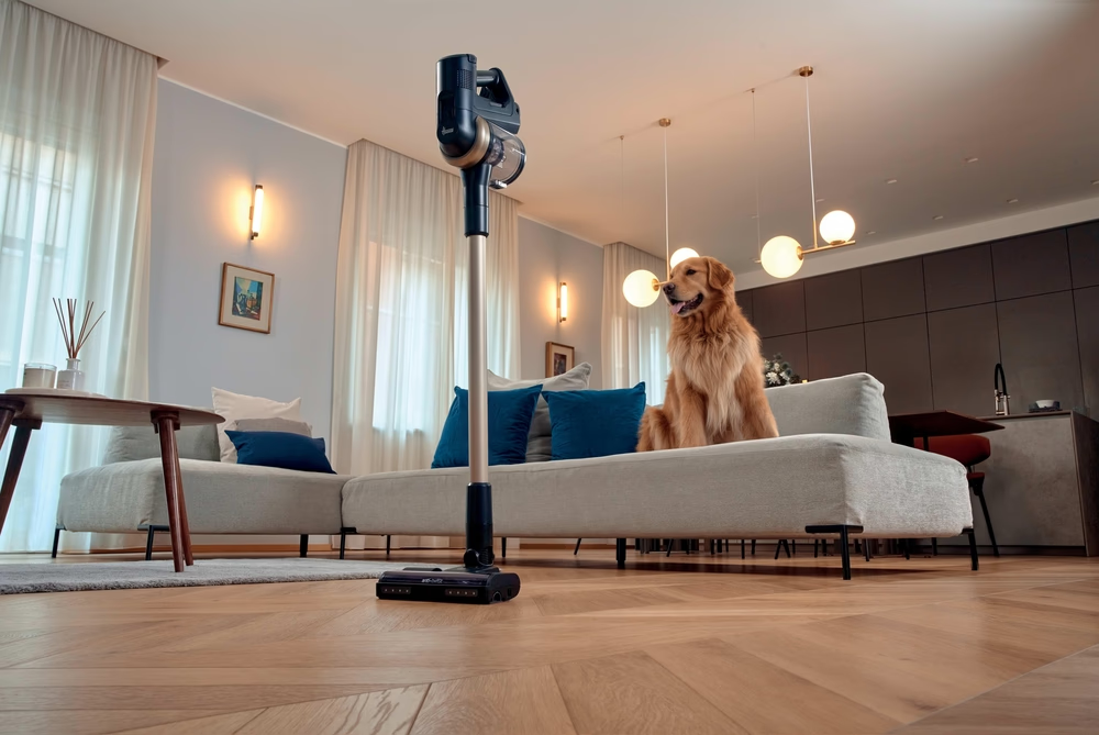Un Golden Retriever è seduto su un divano accanto a un aspirapolvere. La stanza ha pavimenti in legno e lampade a sospensione.