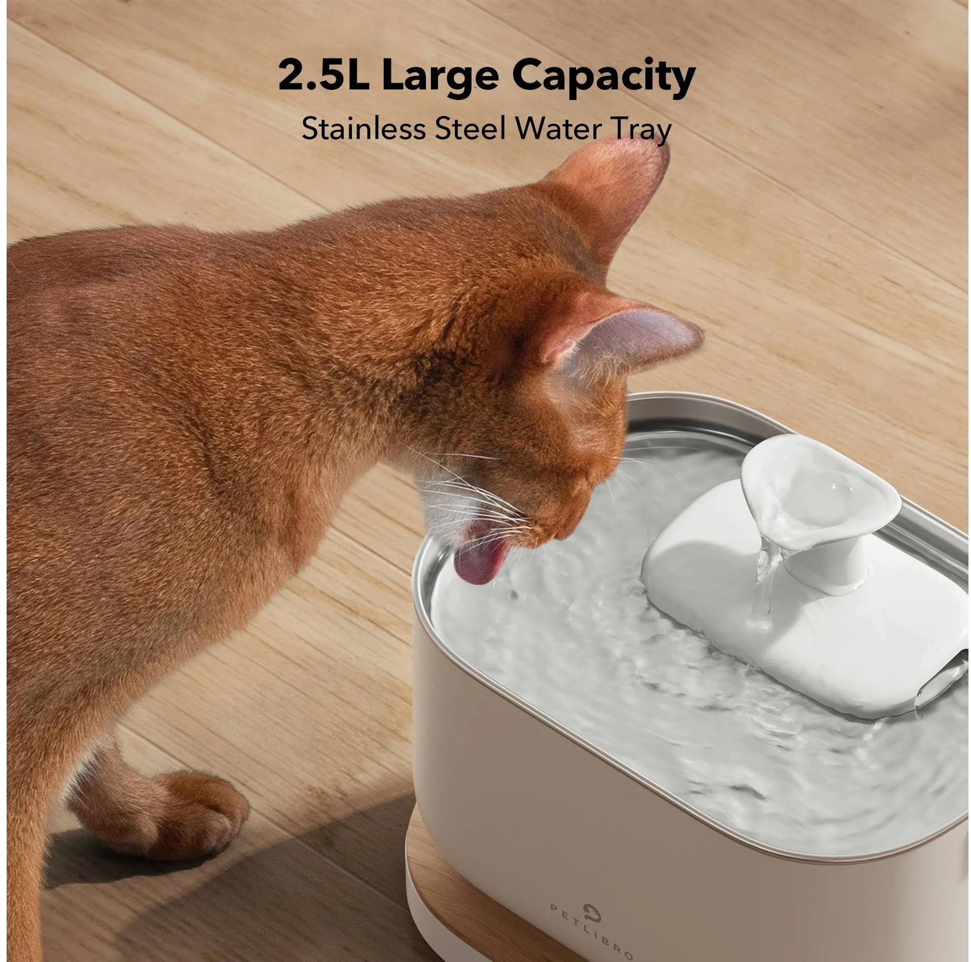 Un gatto beve acqua da una fontana per animali domestici. La fontana è bianca e il gatto è marrone. Pavimento in legno sullo sfondo.