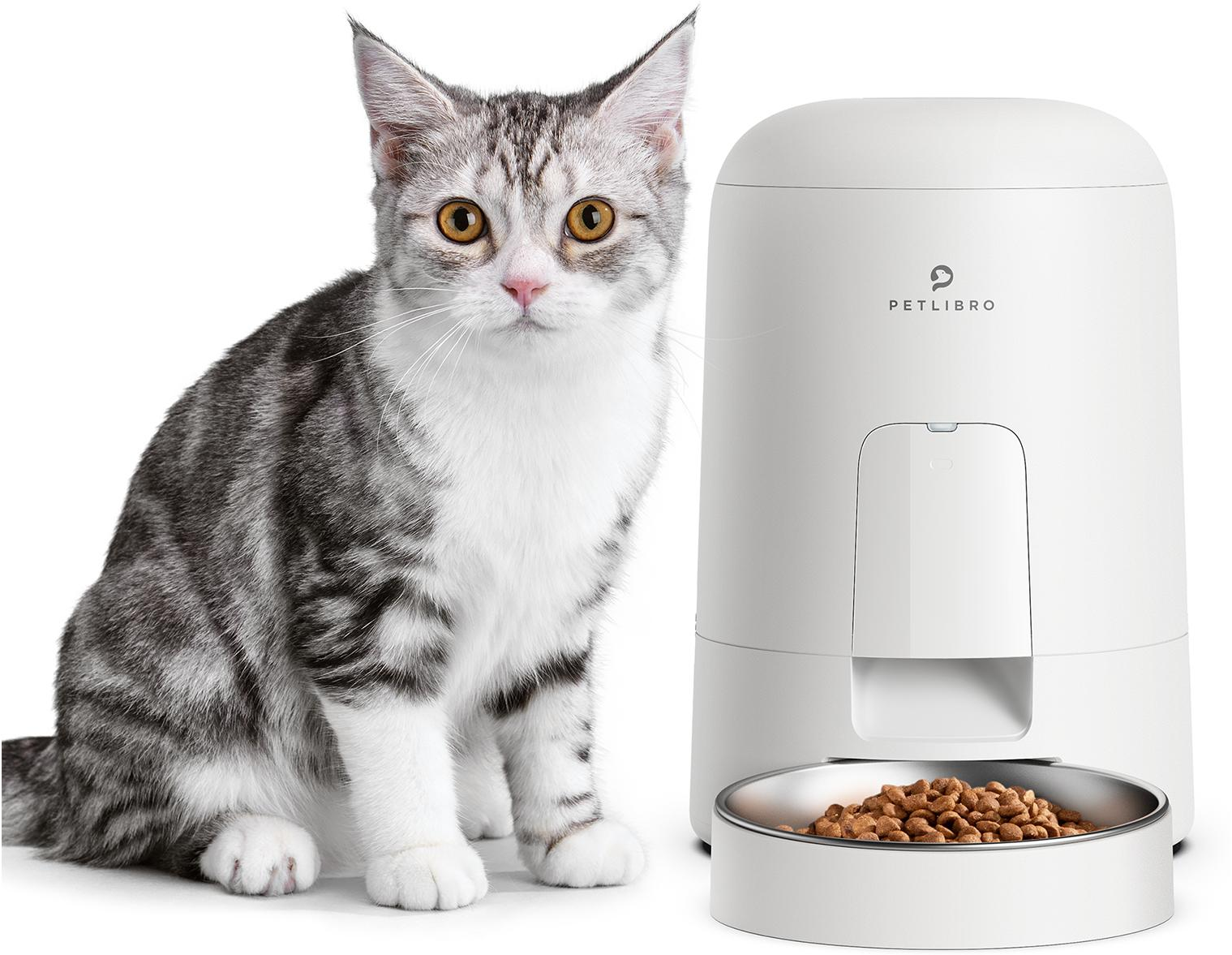 Un gatto tabby grigio è seduto accanto a un distributore automatico di cibo per gatti Petlibro bianco con cibo nella sua ciotola.