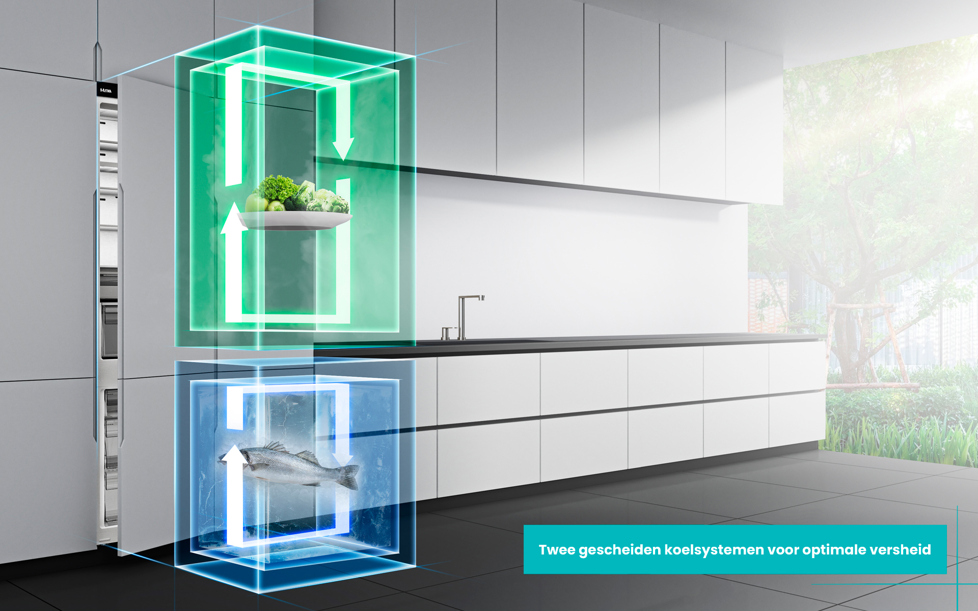 A refrigerator with separate cooling systems. Vegetables, fish, and arrows inside. A kitchen with a sink and a window is in the background.
