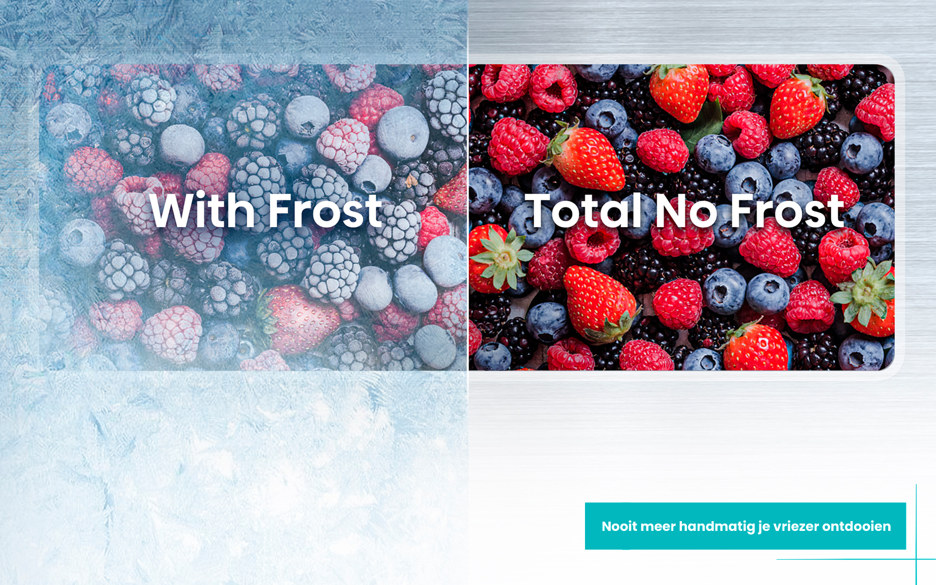 Afbeelding toont bevroren en verse bessen. Links: bessen met ijs. Rechts: verse bessen. Tekst zegt 'Total No Frost'. Tekst onderaan in het Nederlands.