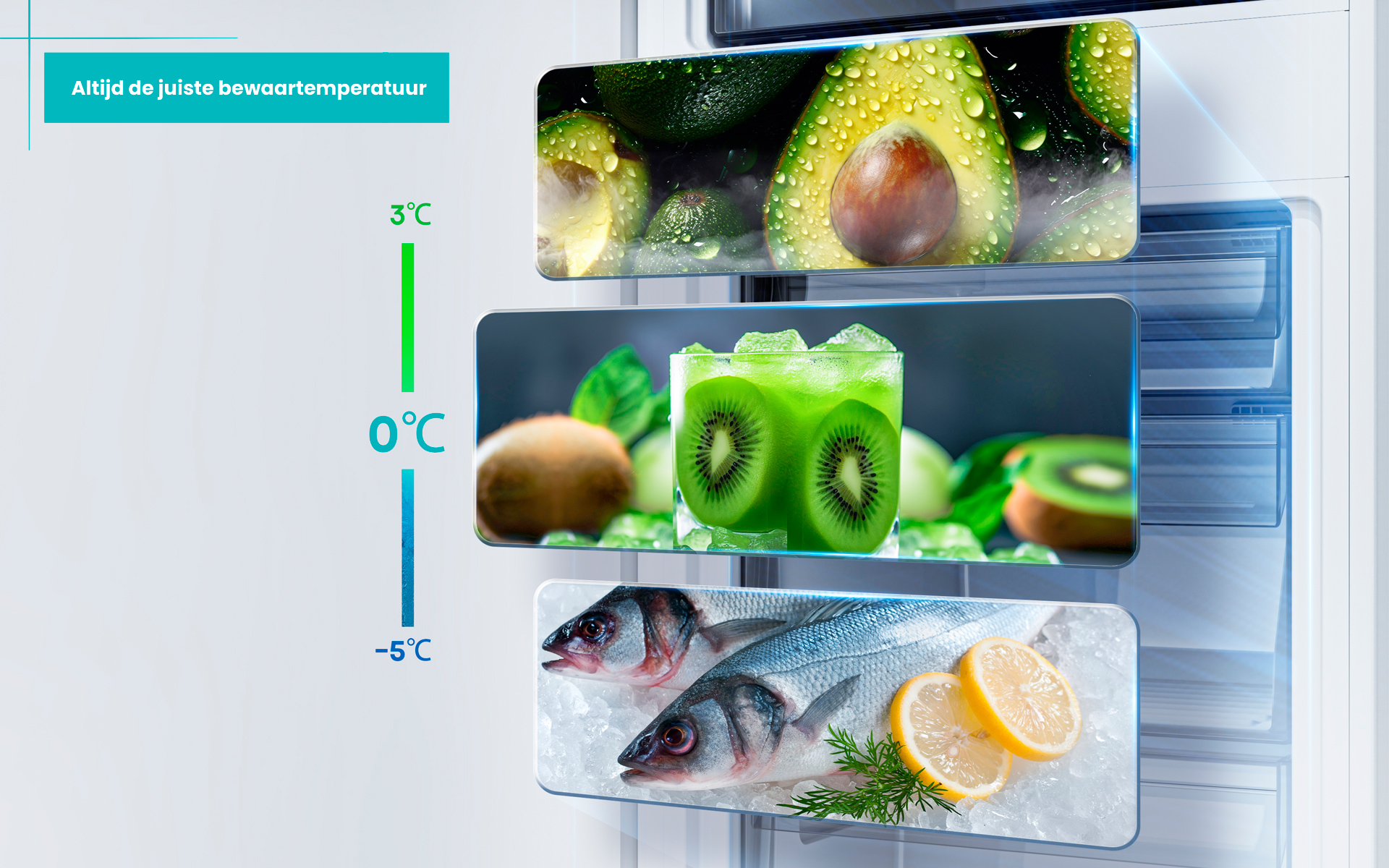 Koelkastdisplay met avocado's, kiwidrank en vis. Temperaturen: 3°C, 0°C, -5°C. Tekst: Altijd de juiste bewaartemperatuur.