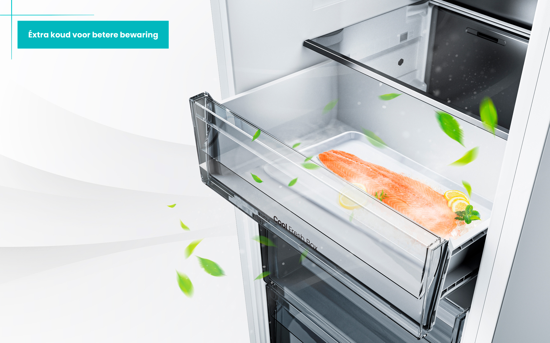 Open koellades met zalm, citroen en munt. Groene bladeren en tekst 'Extra koud voor betere bewaring'.
