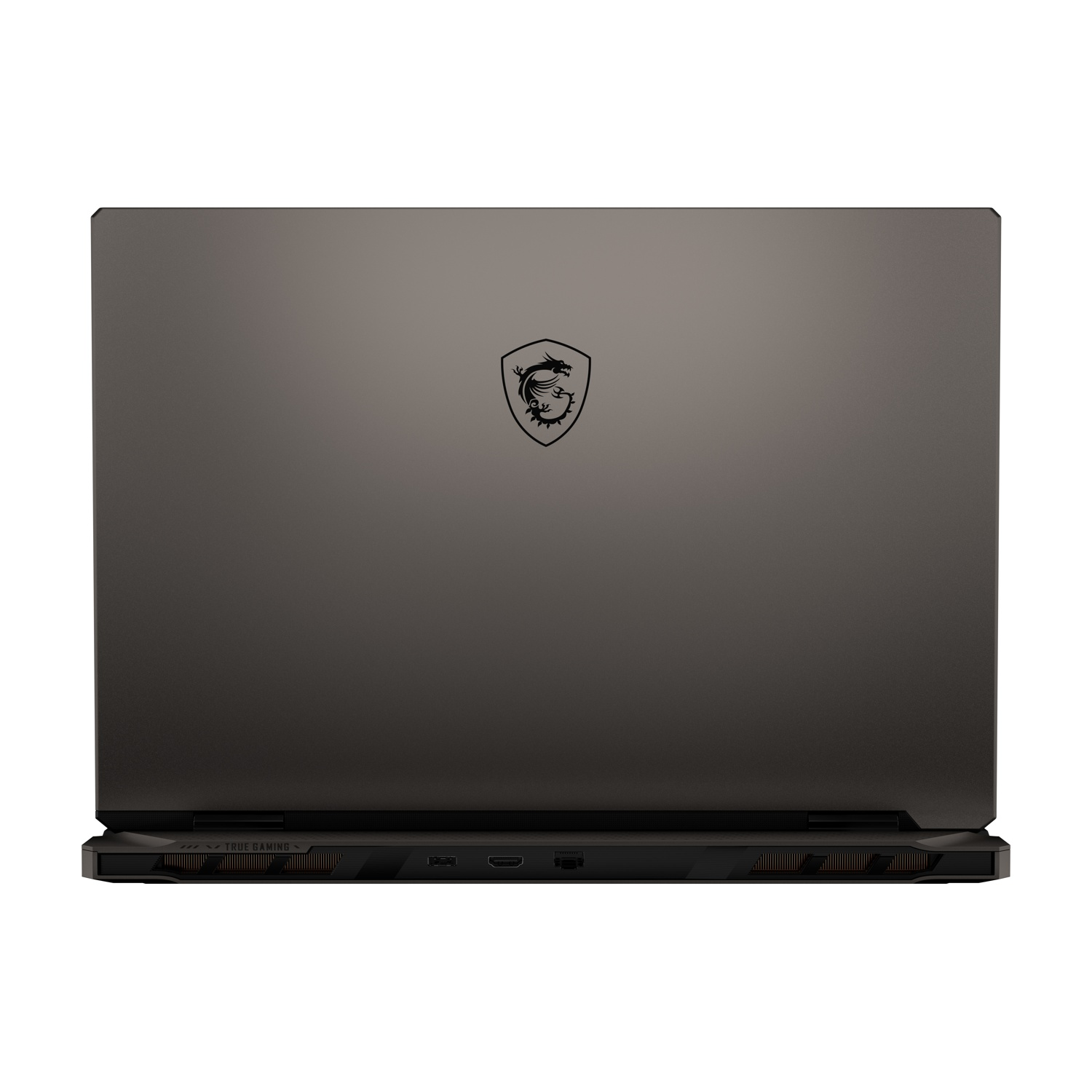 La parte posteriore di un laptop MSI grigio con il logo MSI. Accenti neri, porte e il testo 'TRUE GAMING' sono visibili in basso.