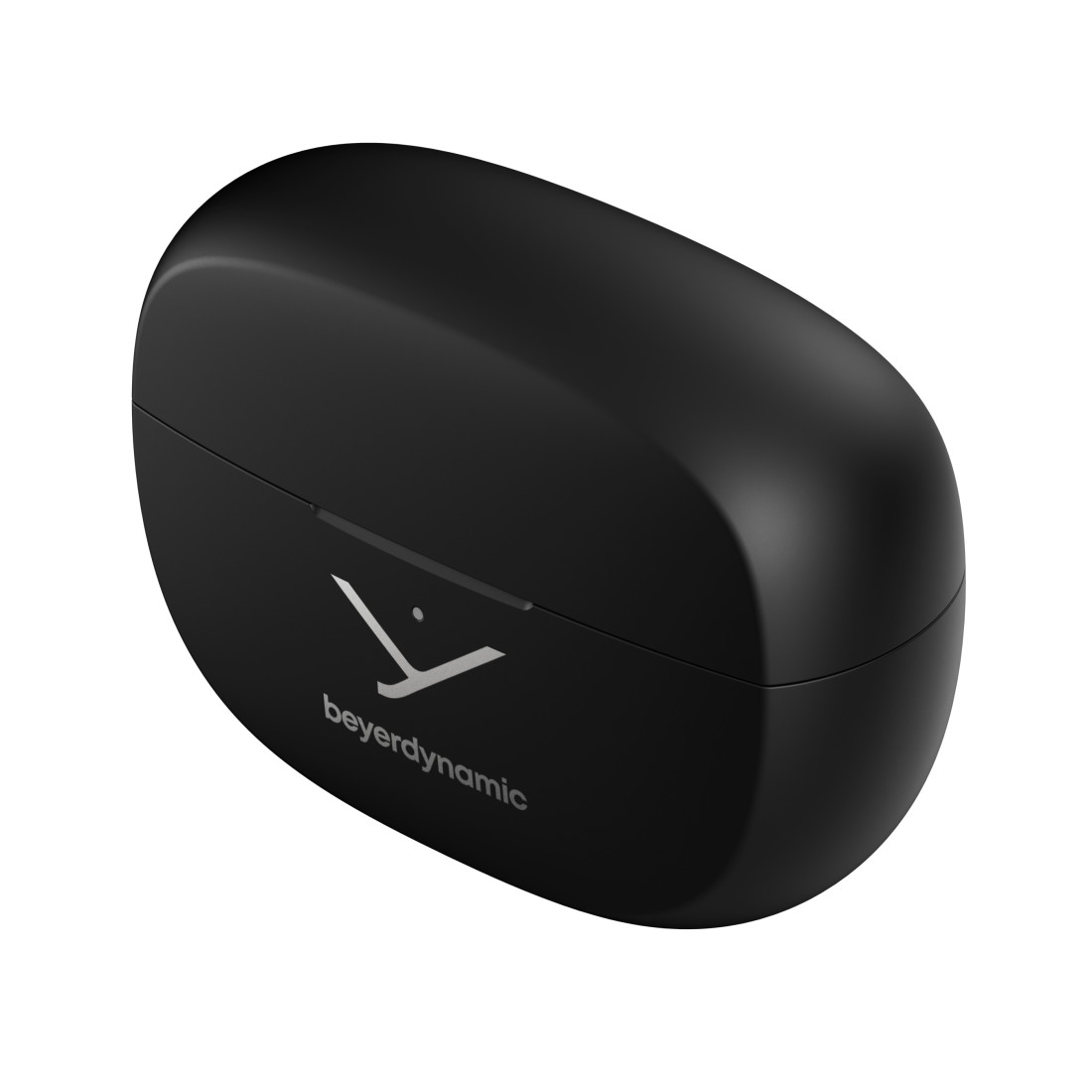 Eine schwarze, ovale Ohrhörerhülle mit dem Beyerdynamic-Logo. Die Hülle ist geschlossen und vor weißem Hintergrund platziert.