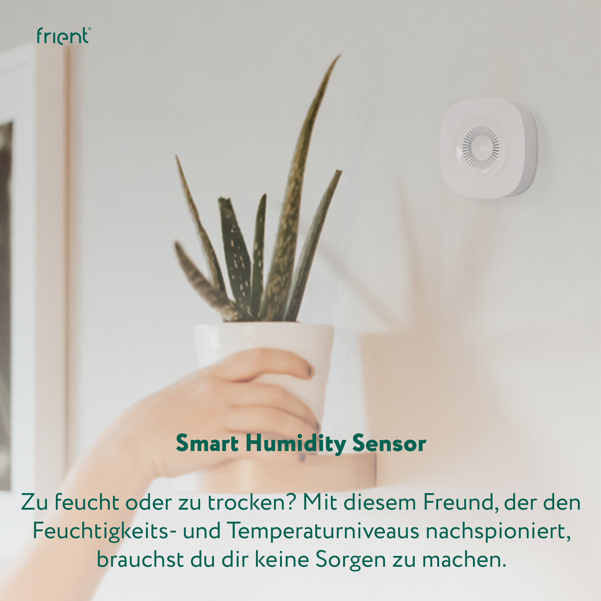 Eine Hand hält einen weißen Topf mit einer Pflanze. Ein weißer Sensor befindet sich an der Wand. Text: Smart Humidity Sensor.