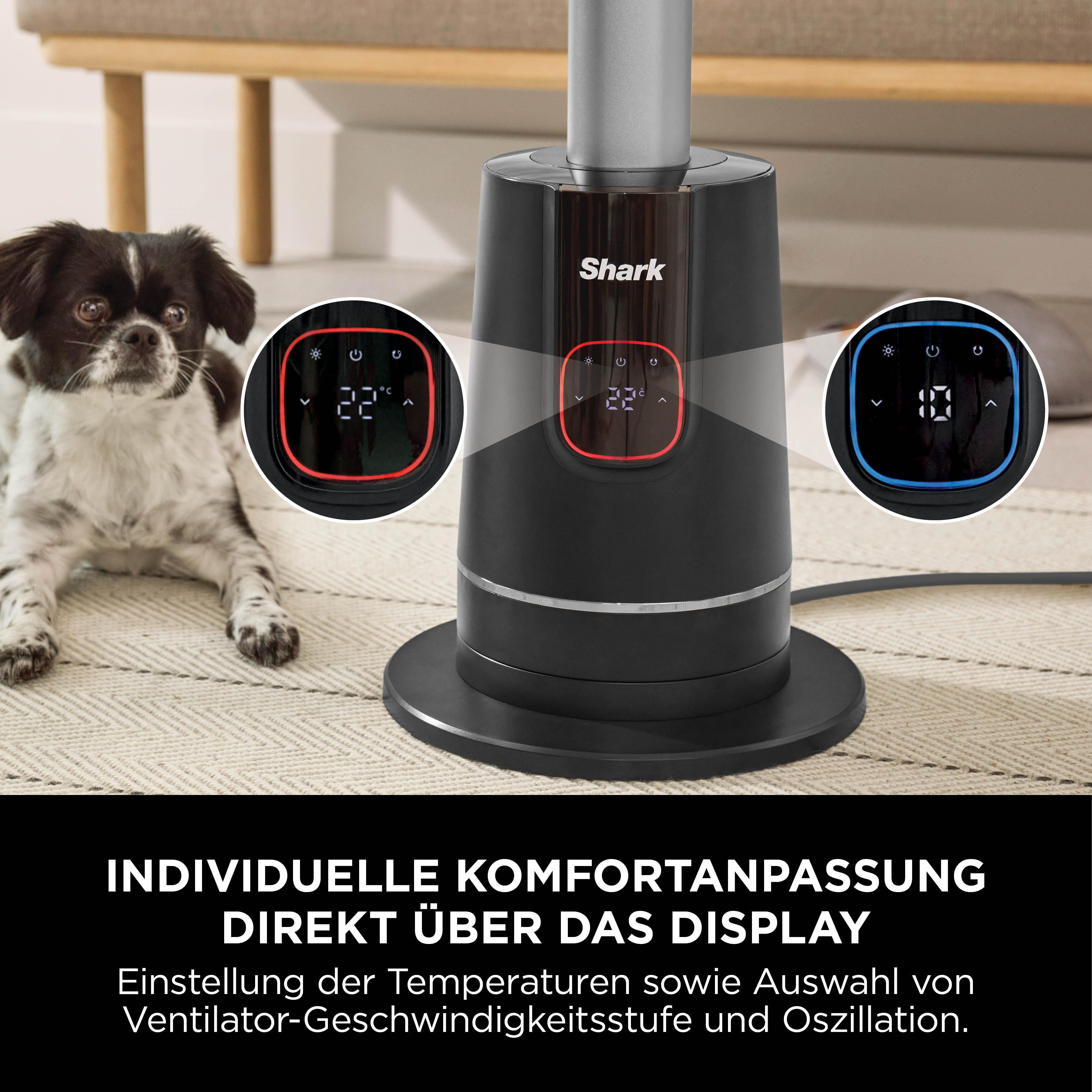 Ein schwarzer Ventilator mit Digitalanzeigen zeigt die Temperatur an. Ein Hund liegt auf einem gemusterten Teppich.