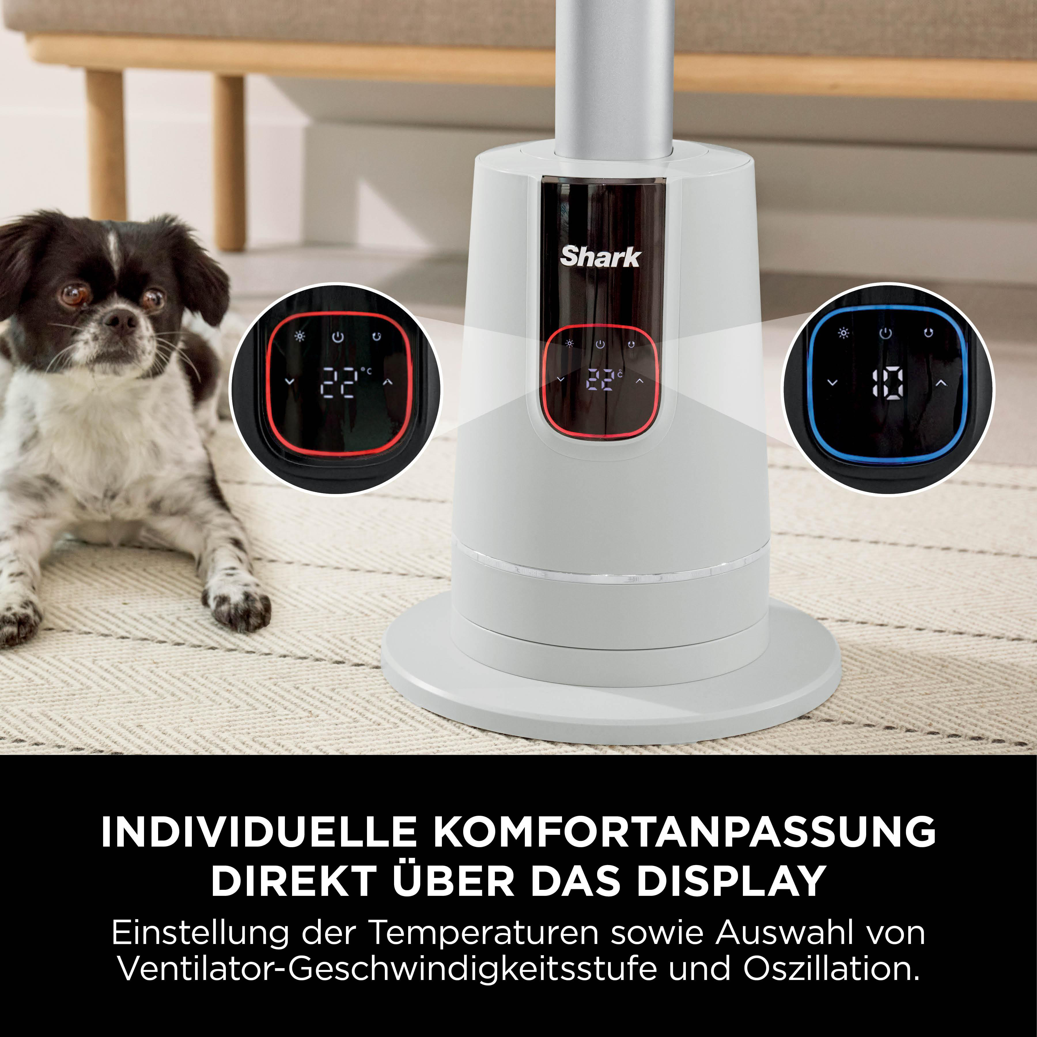 Ein weiß-silberner Ventilator mit Digitalanzeige, die 22 Grad anzeigt. Im Hintergrund liegt ein Hund auf einem Teppich.