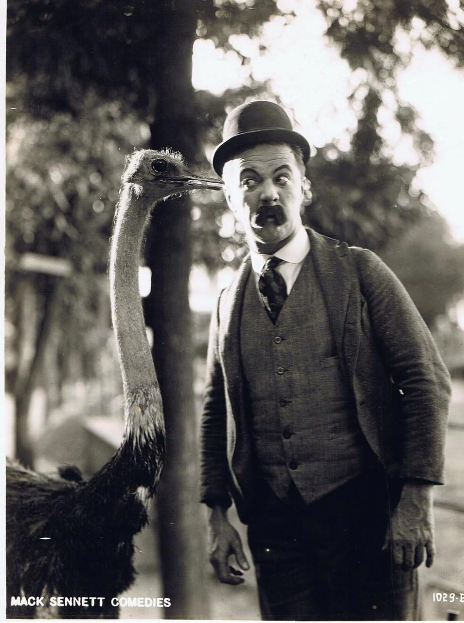 Ein Mann im Anzug und Melone erschrickt sich vor einem Strauß. Der Schnabel des Straußes ist in der Nähe des Gesichts des Mannes. Schwarz-Weiß-Foto.