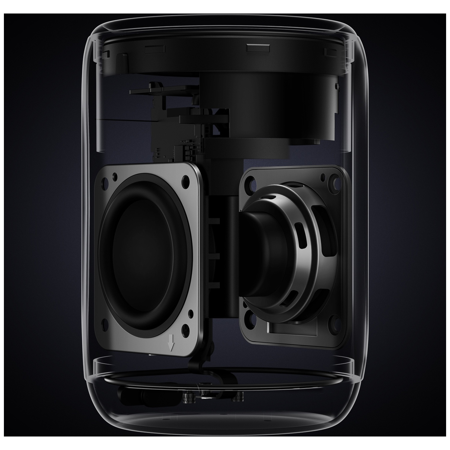 Cross-section of a transparent speaker. Shows internal components: two black speakers, circuitry, and a transparent, rounded enclosure.