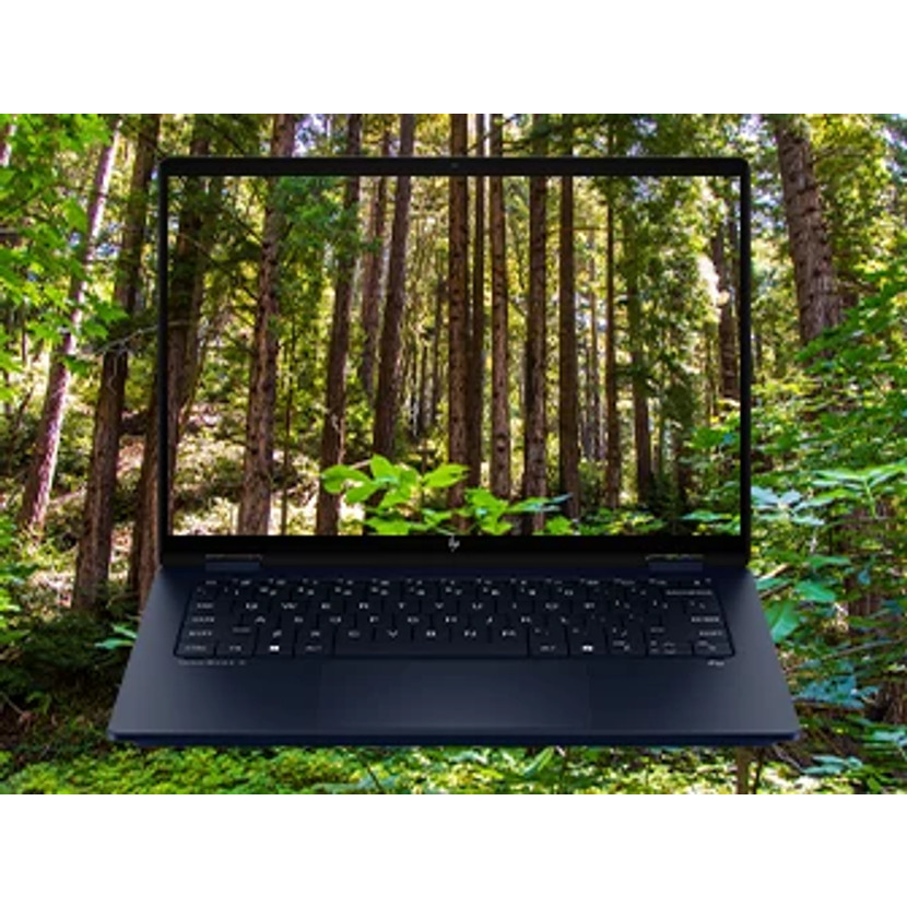 Laptop wyświetla scenę leśną. Laptop jest ciemnoniebieski, umieszczony na zielonych roślinach. W tle widoczne drzewa leśne.