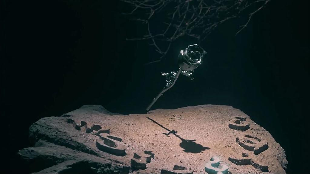 Silberne Rose auf Felsen mit geschnitzten Buchstaben. Dunkler Hintergrund, Äste darüber. Dramatische Beleuchtung.