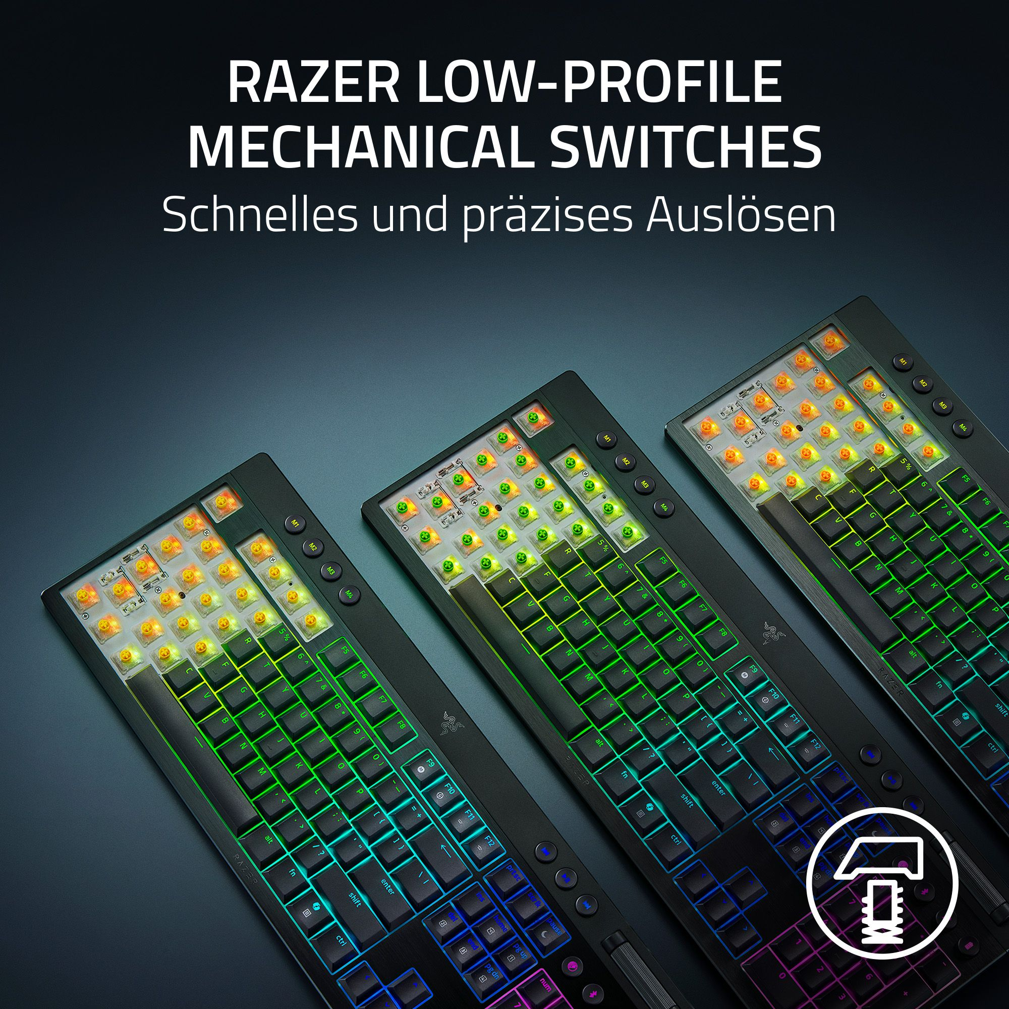 Drei RGB-Tastaturen. Tasten sind sichtbar. Razer-Logo. Titel: RAZER LOW-PROFILE MECHANICAL SWITCHES.