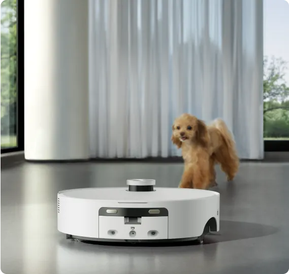 Ein weißer Roboterstaubsauger steht auf einem grauen Boden. Im Hintergrund ist ein kleiner brauner Hund in der Nähe eines Fensters mit weißen Vorhängen.
